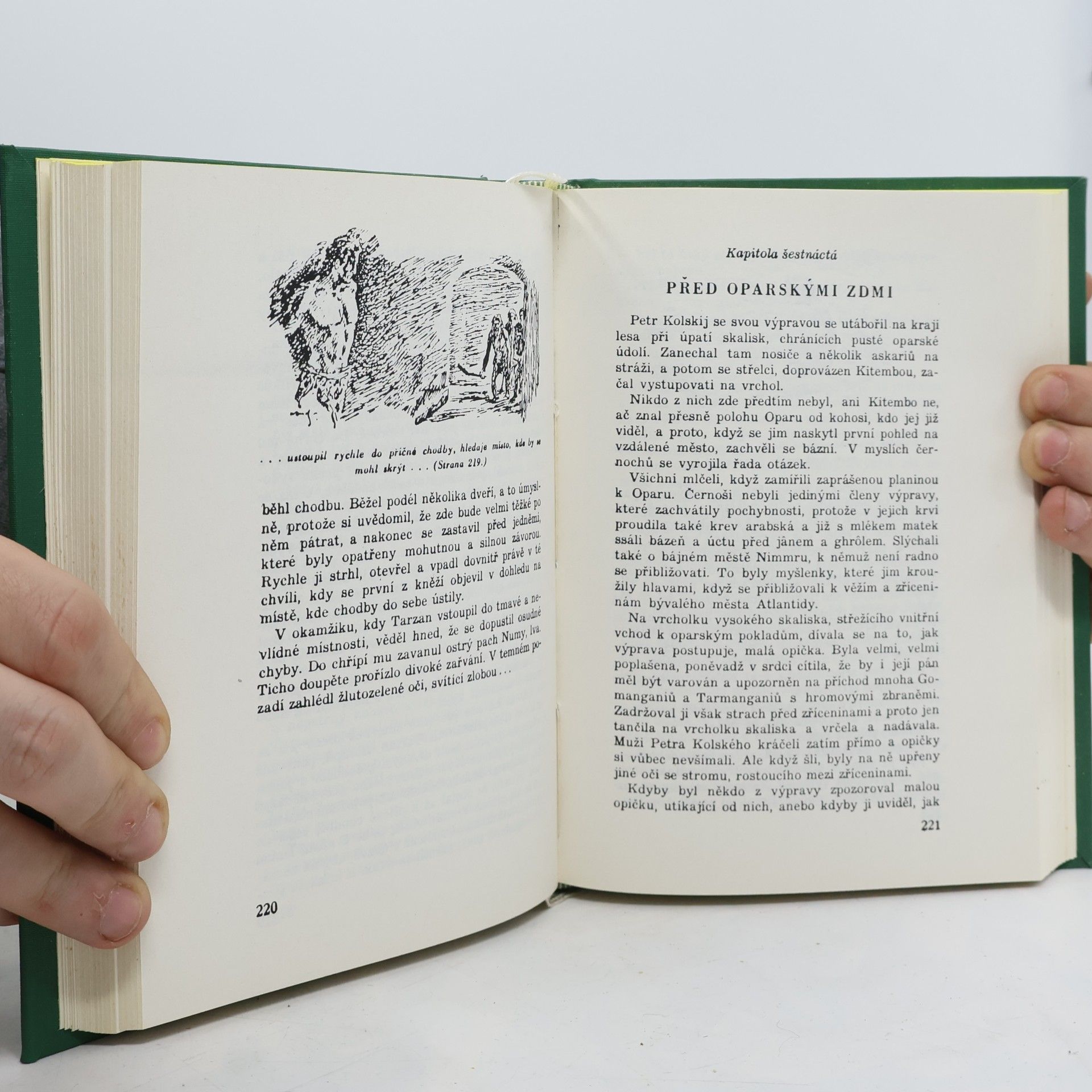 Edgar Rice Burrroughs Tarzan VII. Pán lvů
