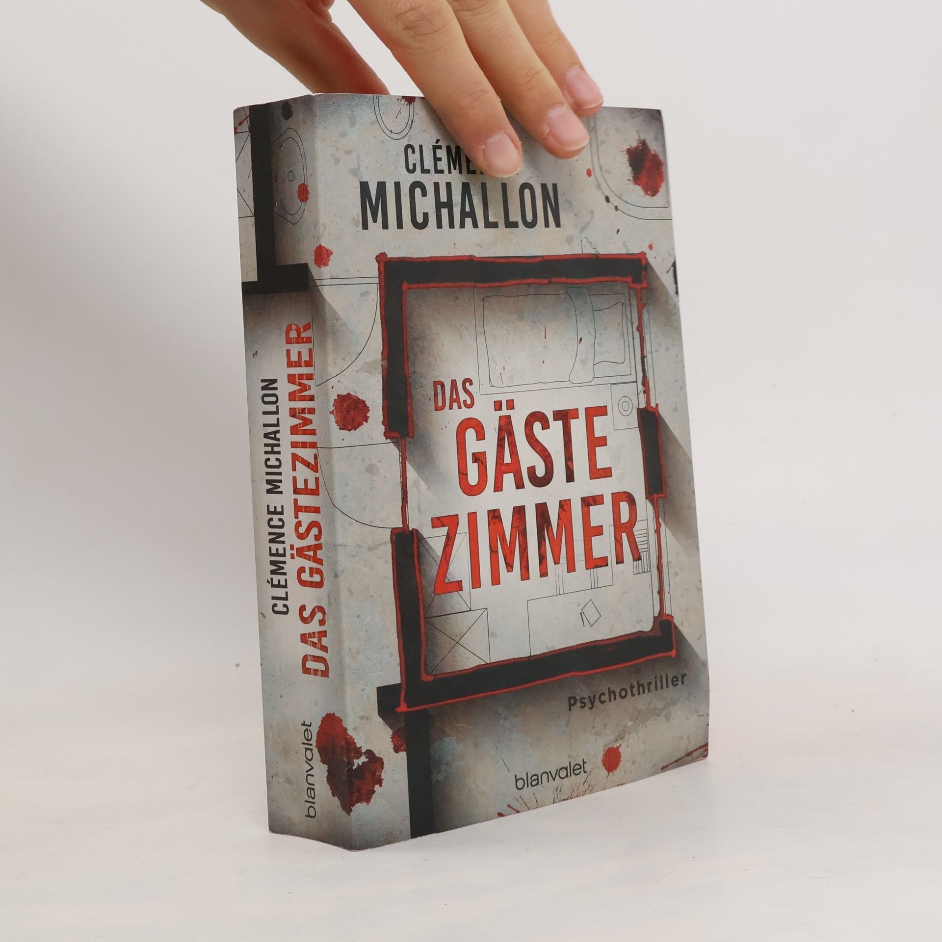 Clémence Michallon Das Gästezimmer