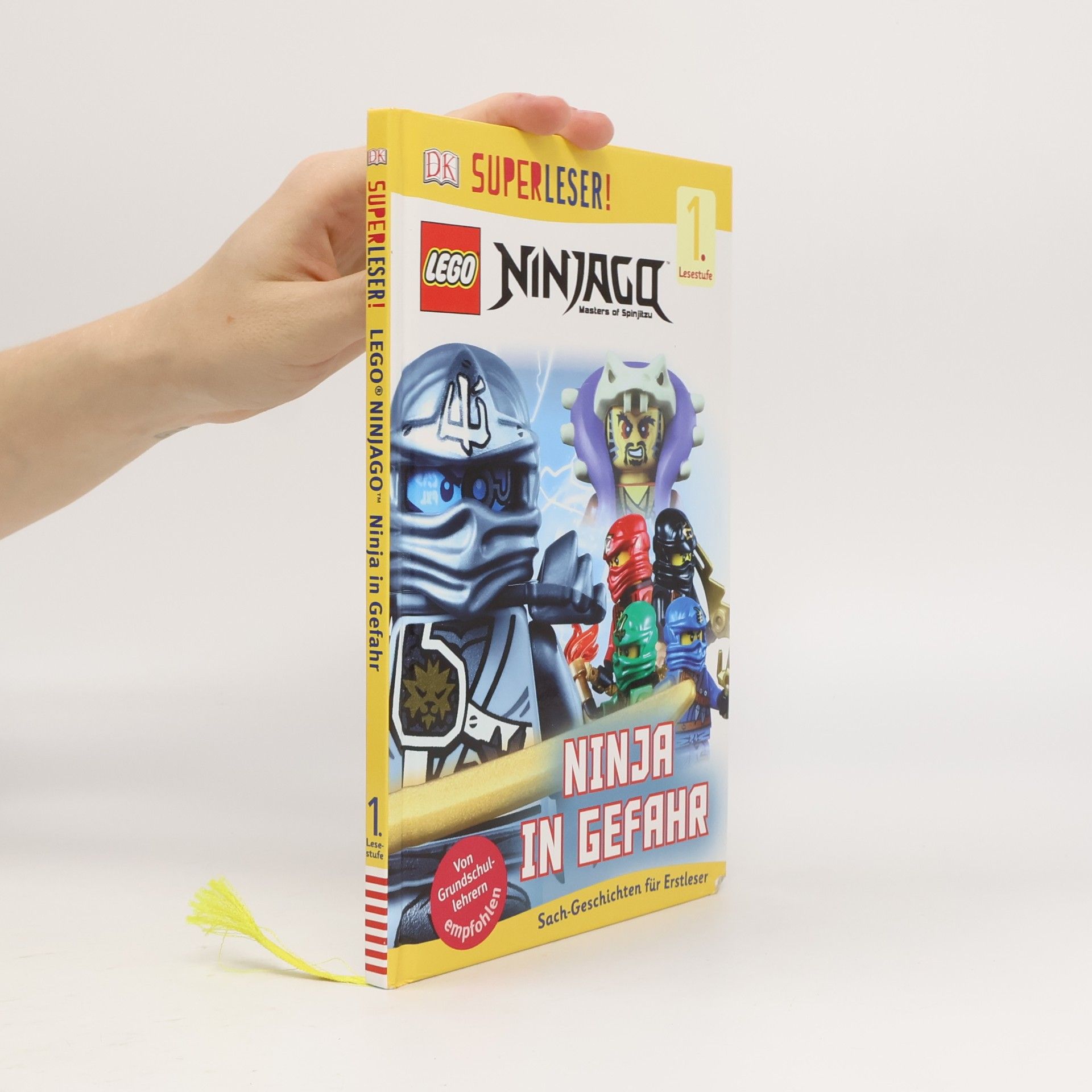 LEGO Ninjago. Masters of spinjitzu. Ninja in Gefahr