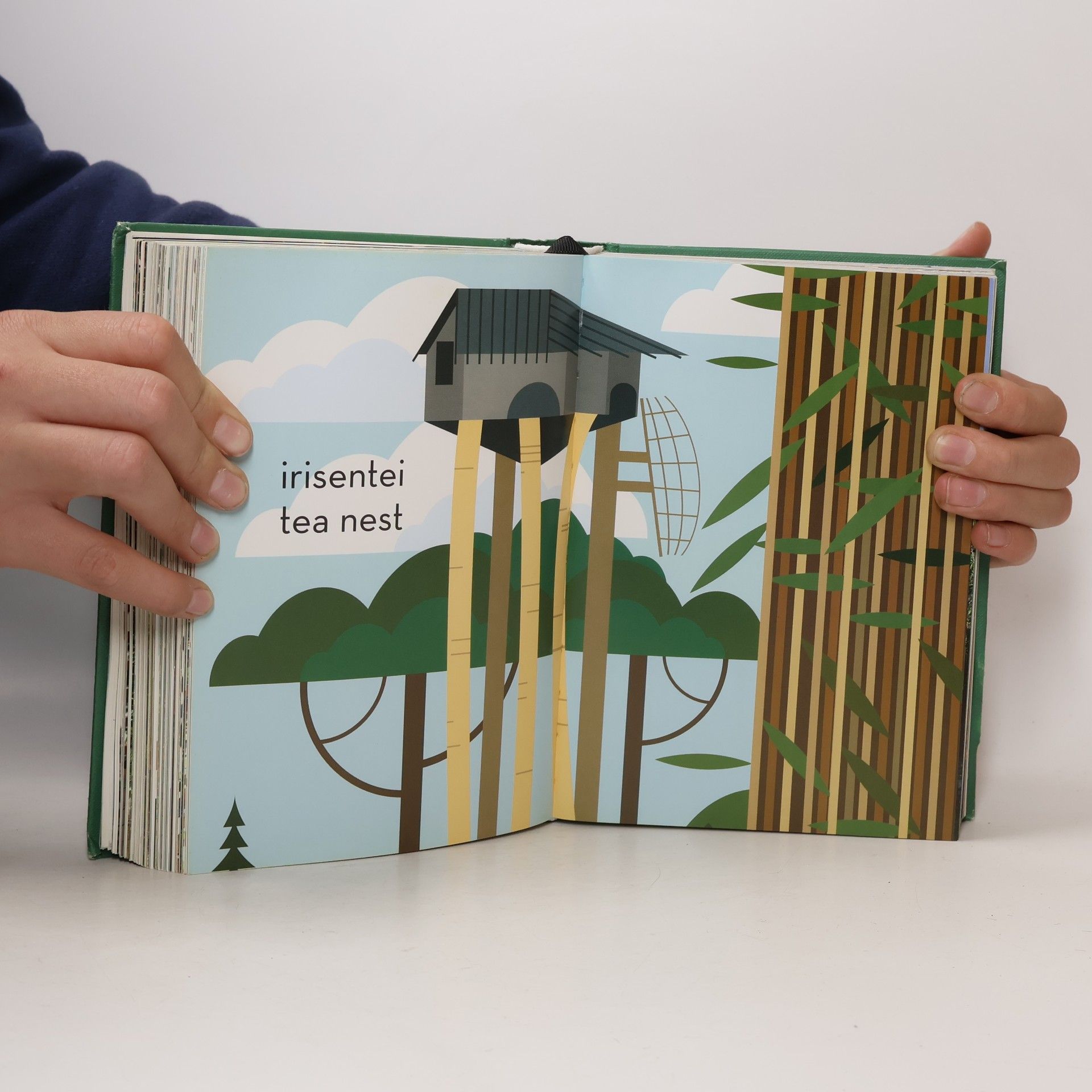Philip Jodidio Tree Houses