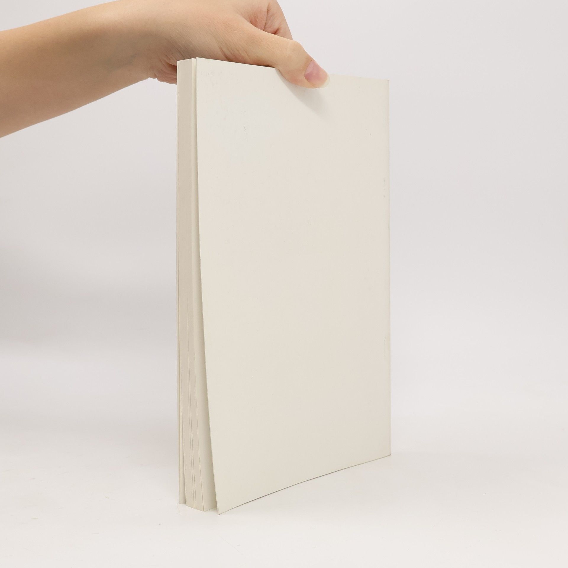 Carl Greger Einbecker Jahrbuch 45