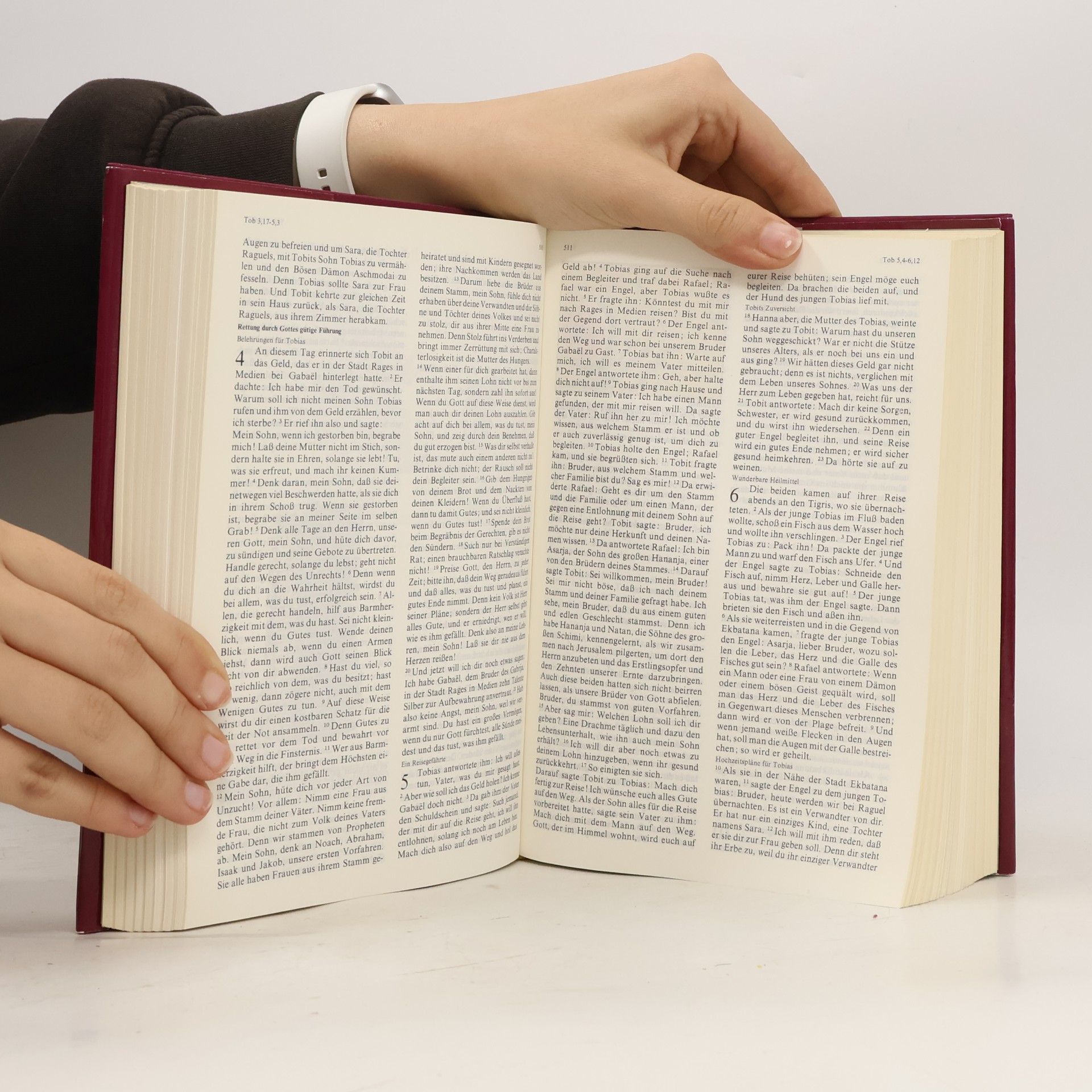 Autorenkollektiv Die ganze Heilige Schrift