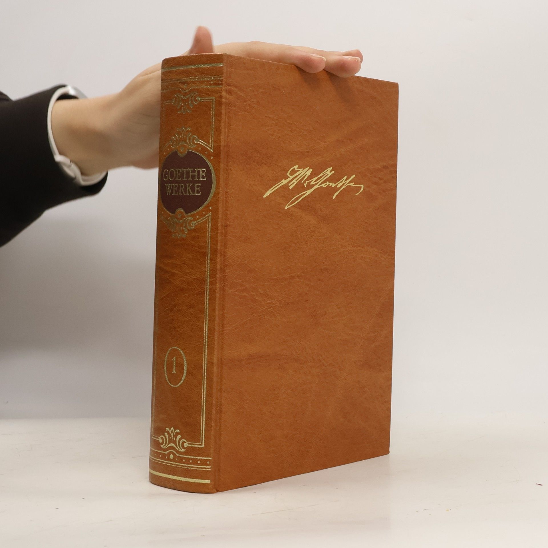Goethe Werke 1