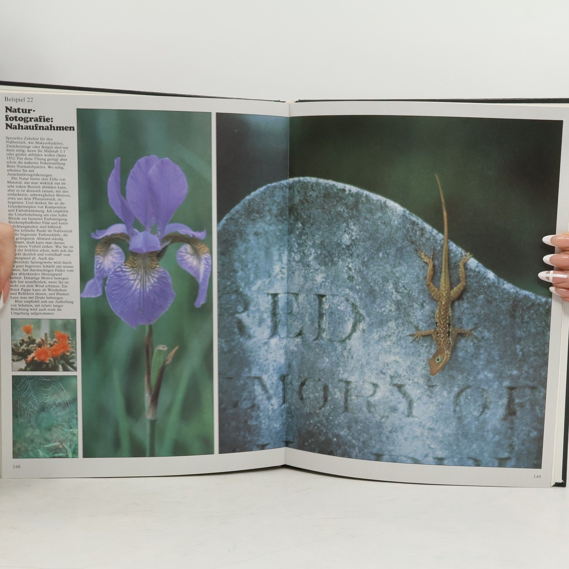 John Hedgecoe Einführung in die Kunst der Fotografie