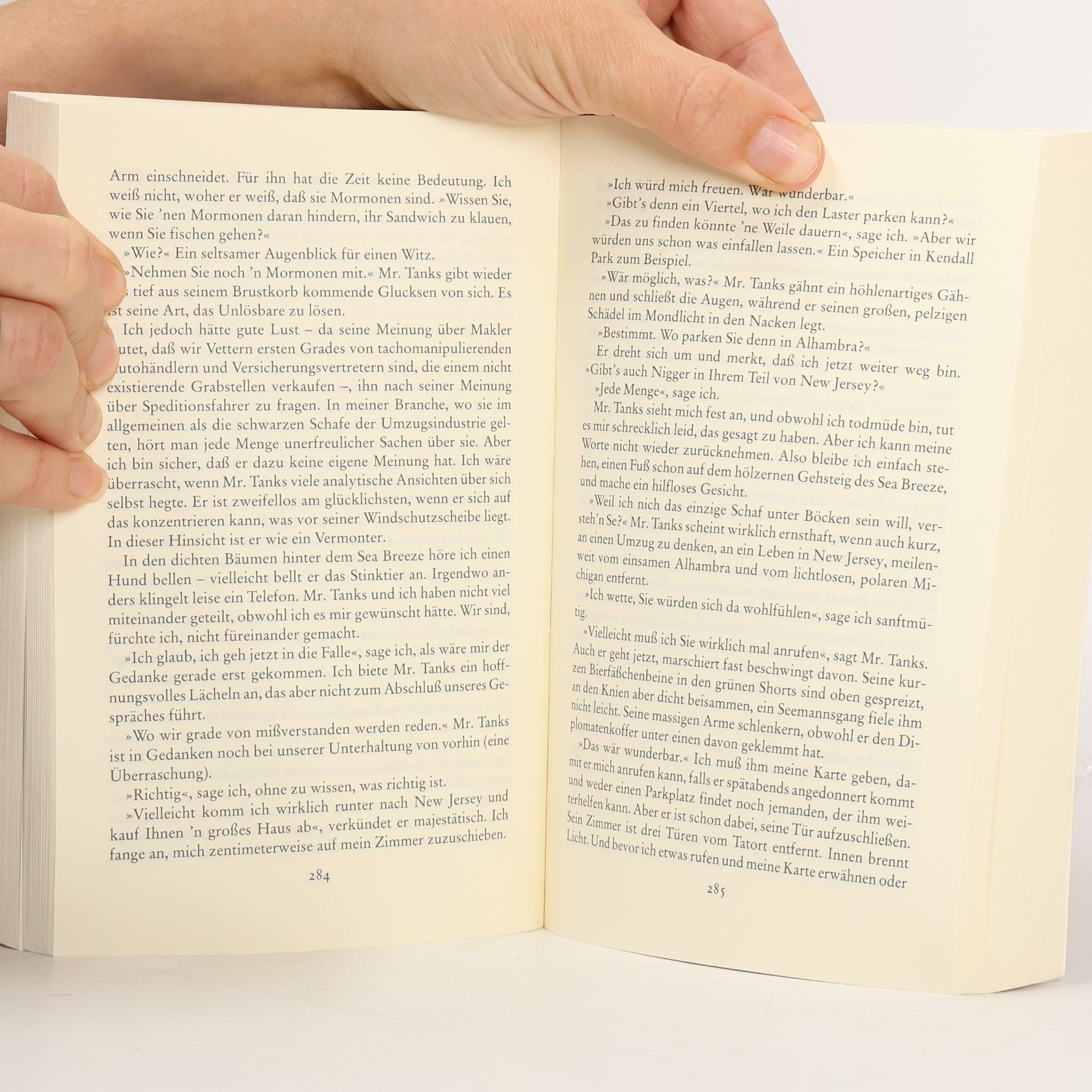 Richard Ford Unabhängigkeitstag