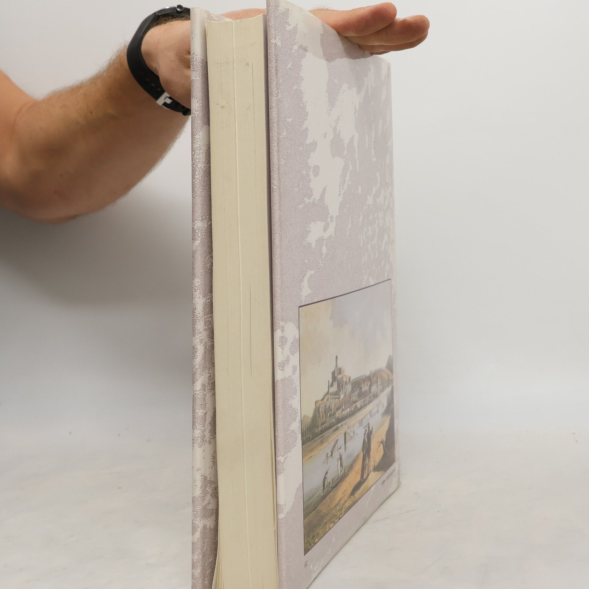 Milan Šišmiš Trenčín : vlastivedná monografia. 1.