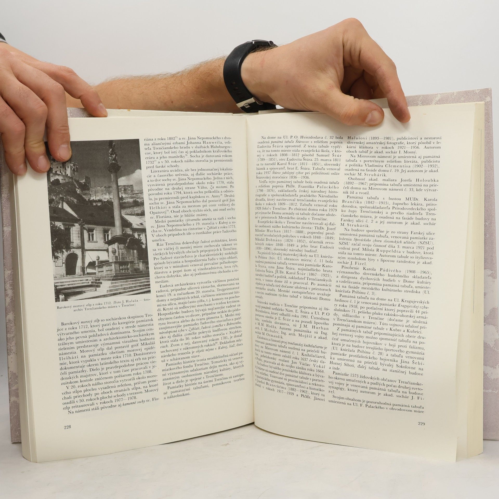 Milan Šišmiš Trenčín : vlastivedná monografia. 1.