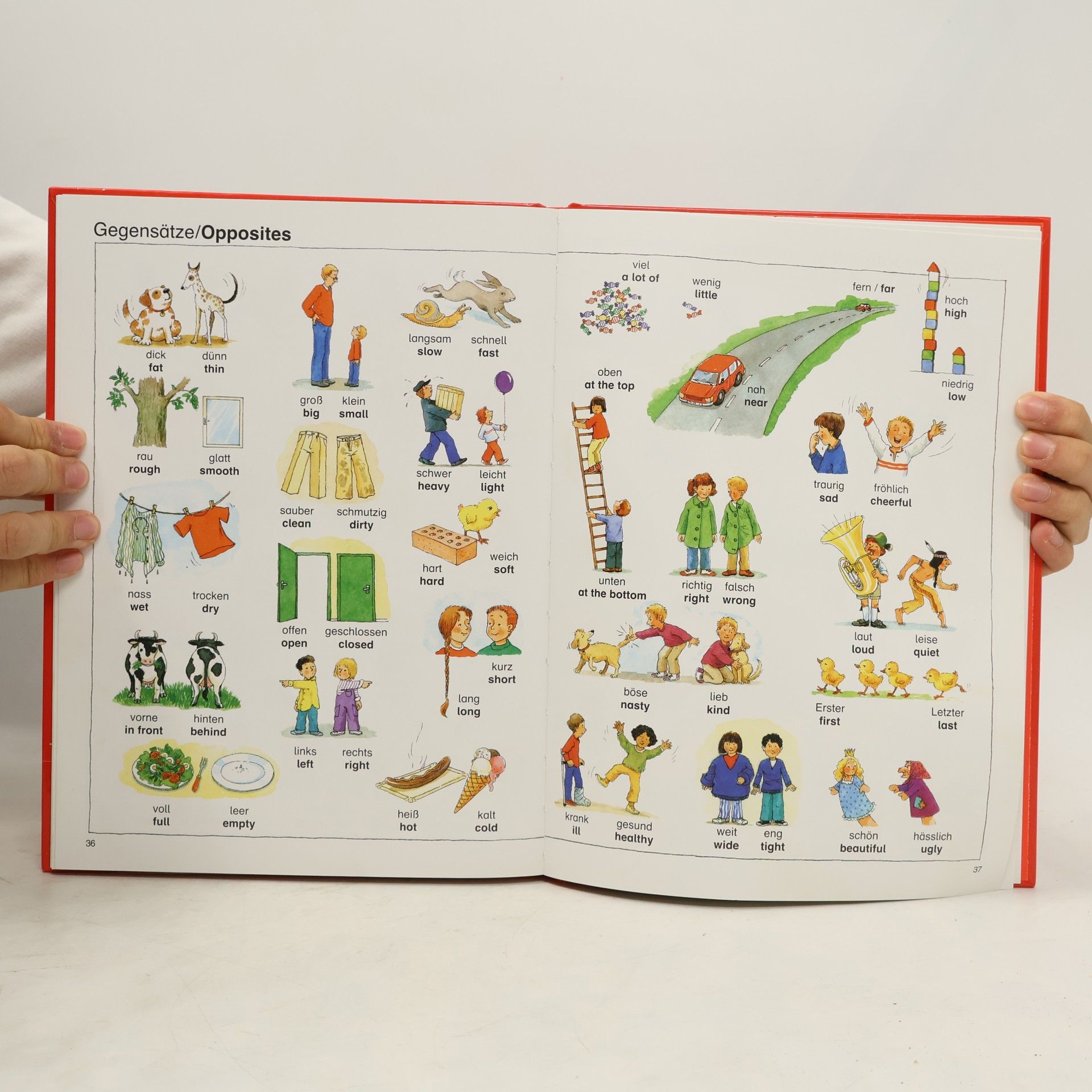 Angela Weinhold Mein erstes Englisch Bildwörterbuch