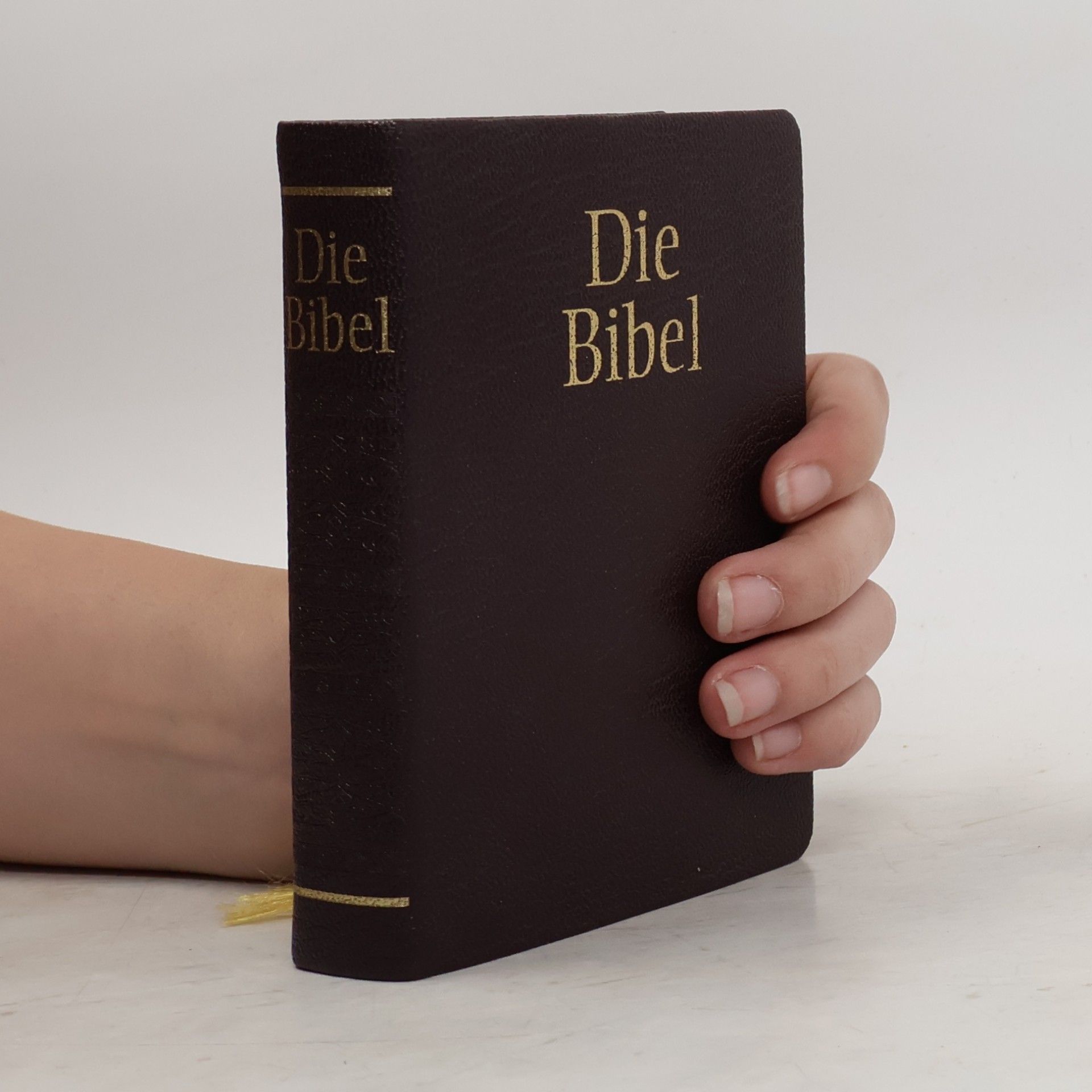 Kolektiv autorů Die Bibel