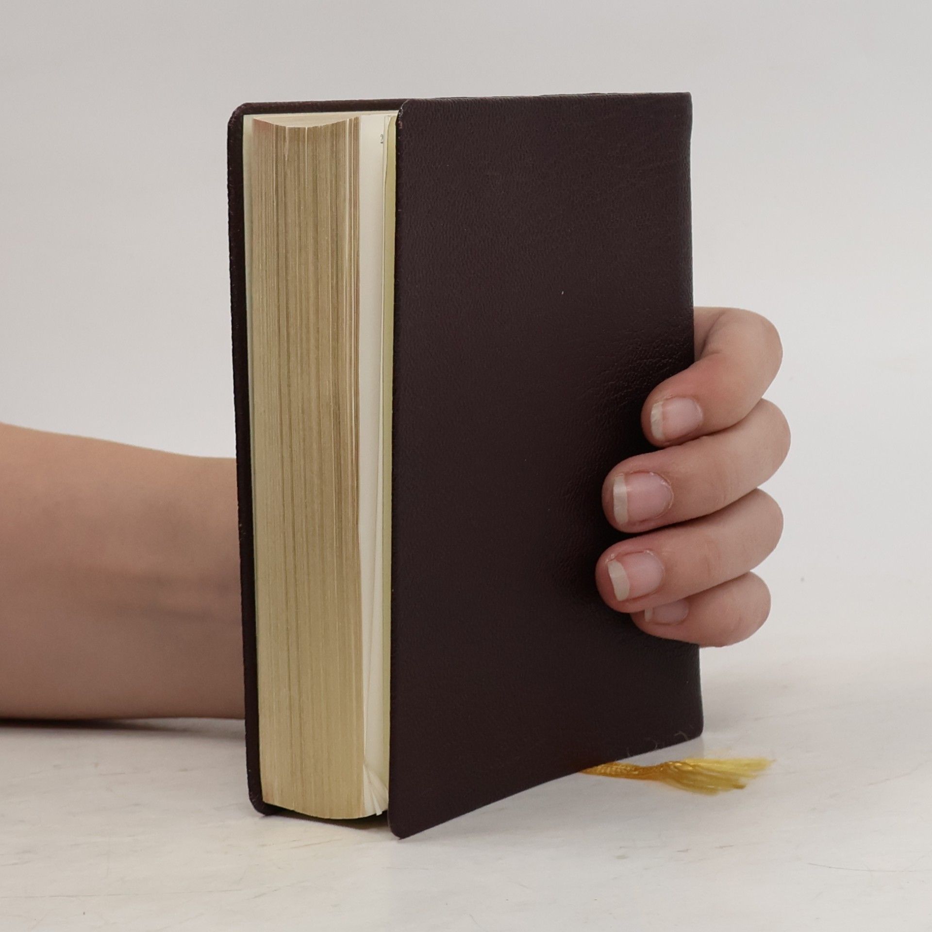 Kolektiv autorů Die Bibel