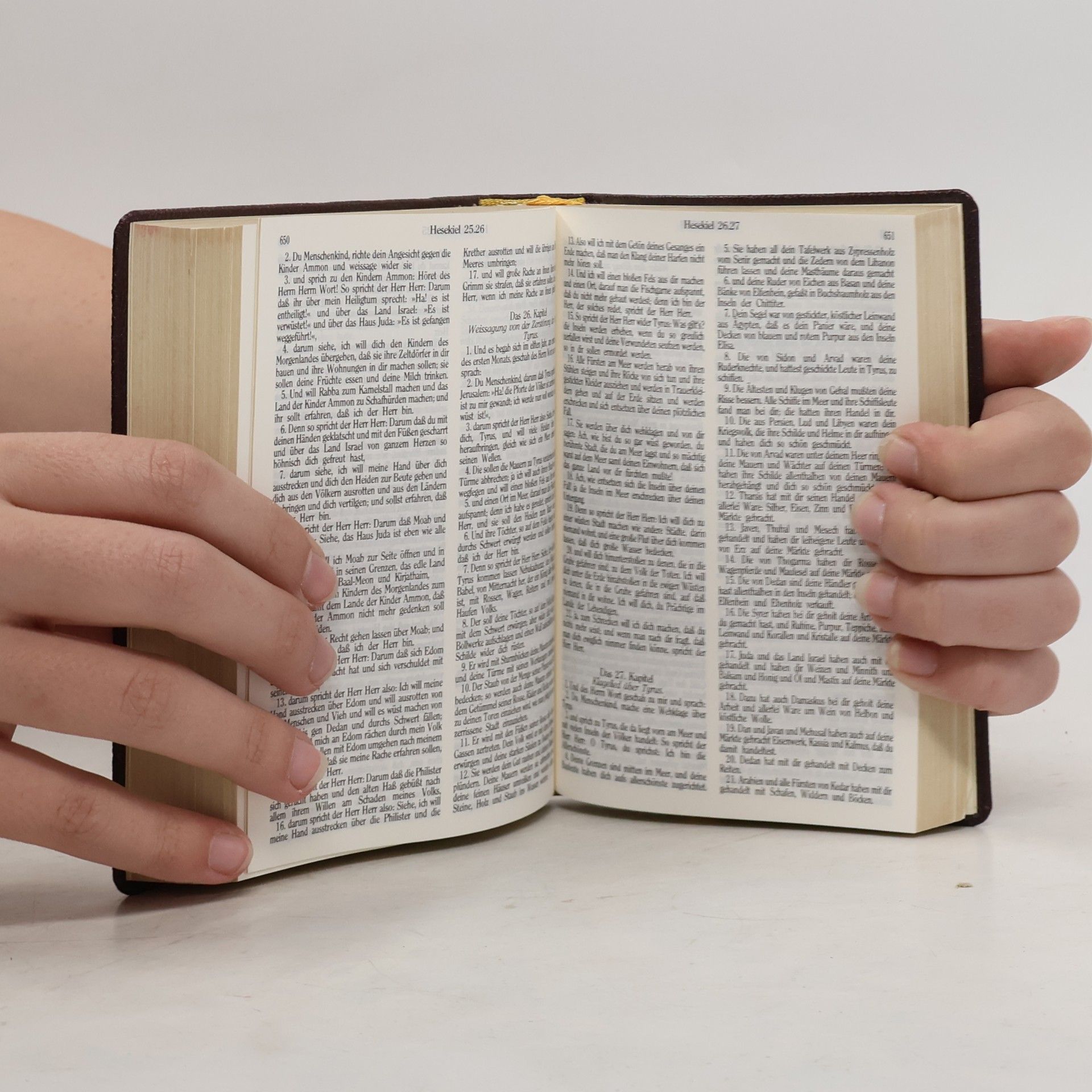 Kolektiv autorů Die Bibel