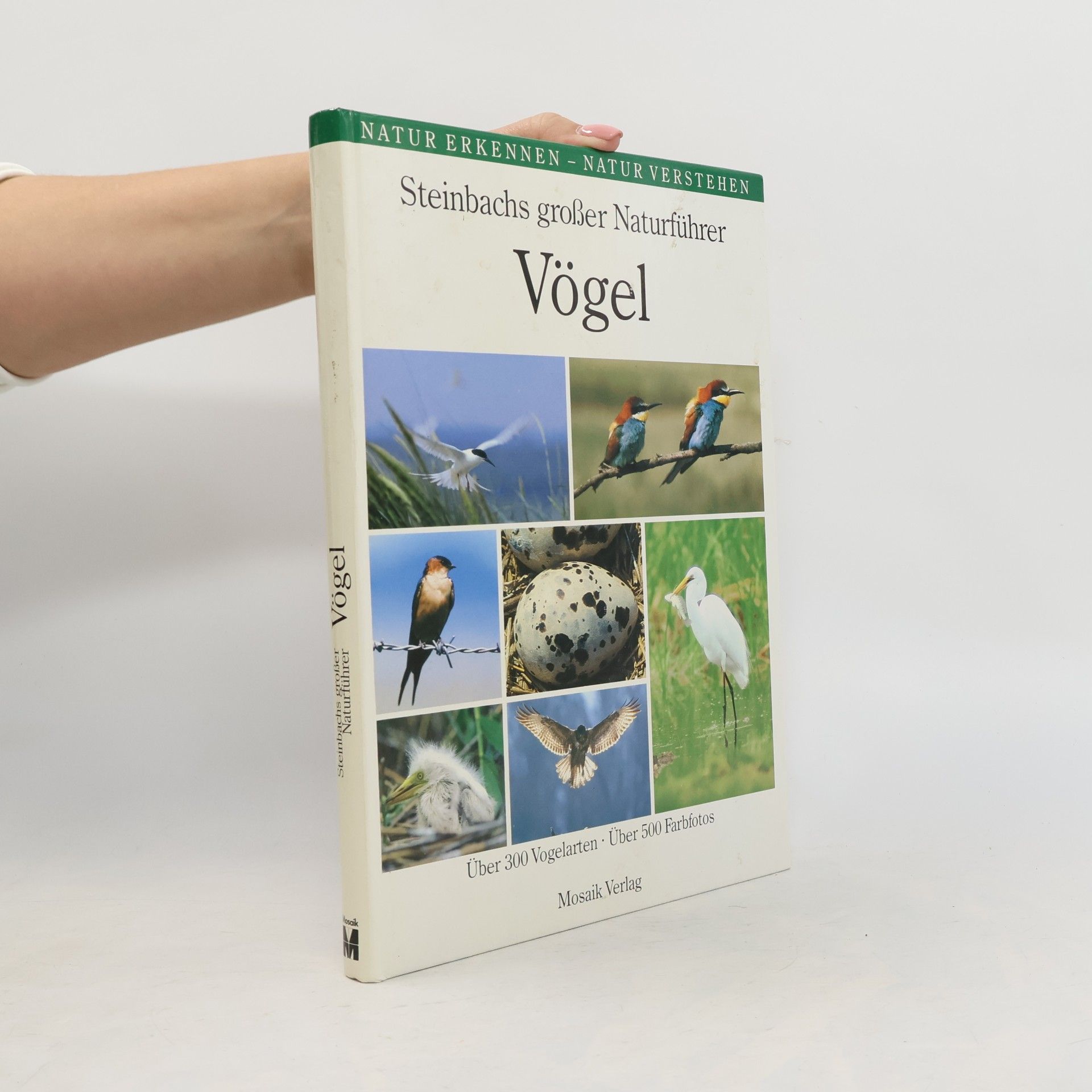 Steinbachs großer Naturführer Vögel