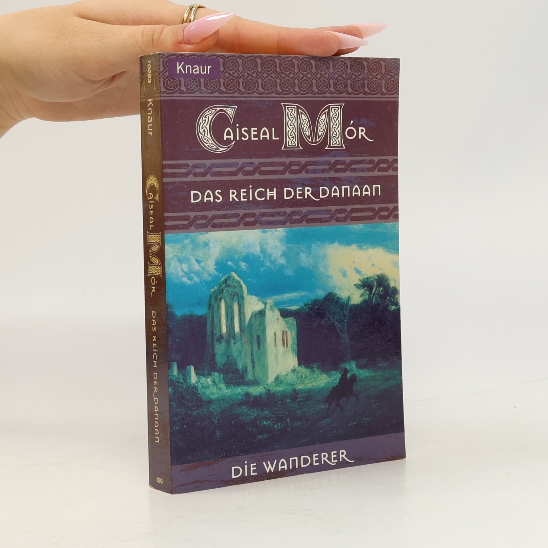 Caiseal Mór Das Reich der Danaan. Roman