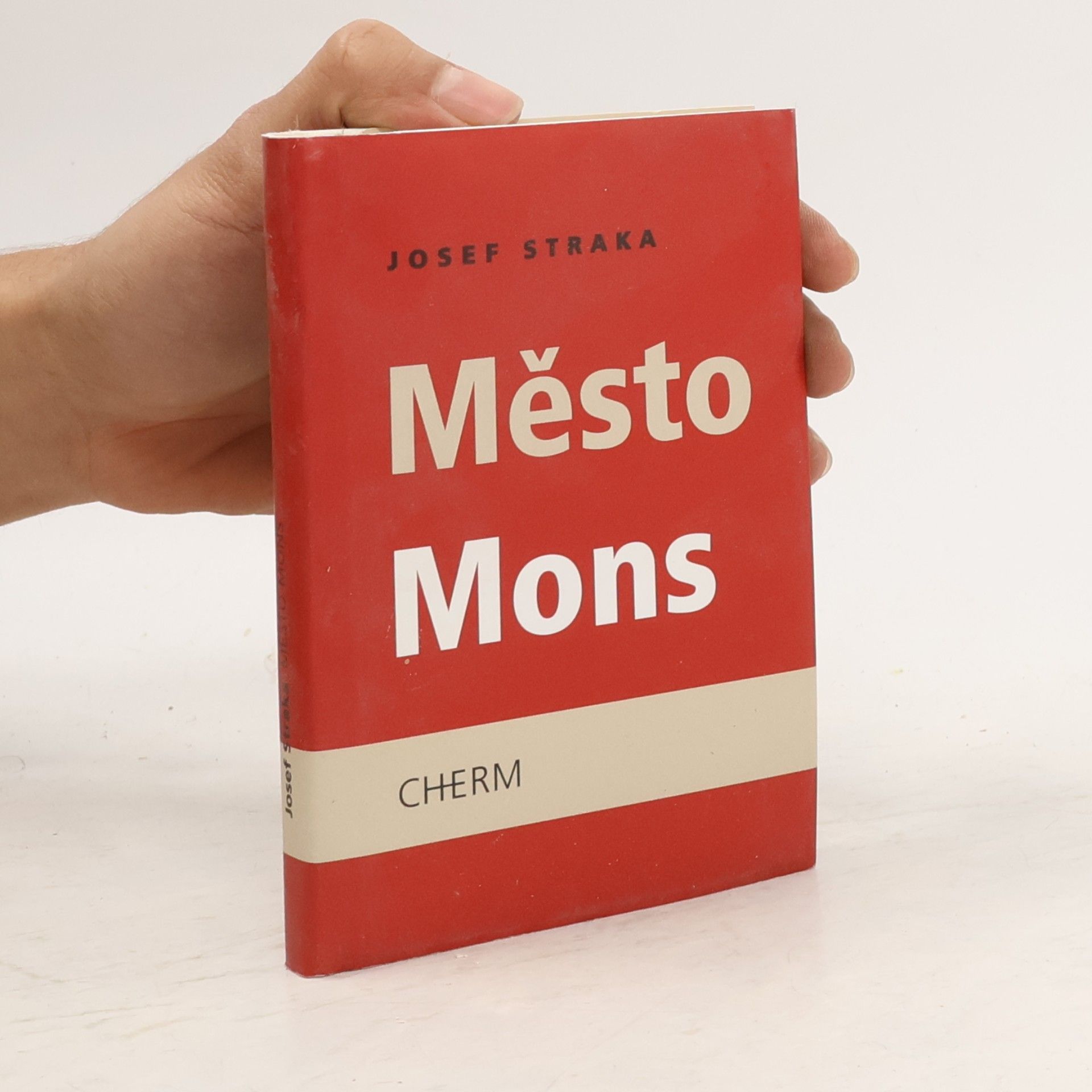 Město Mons