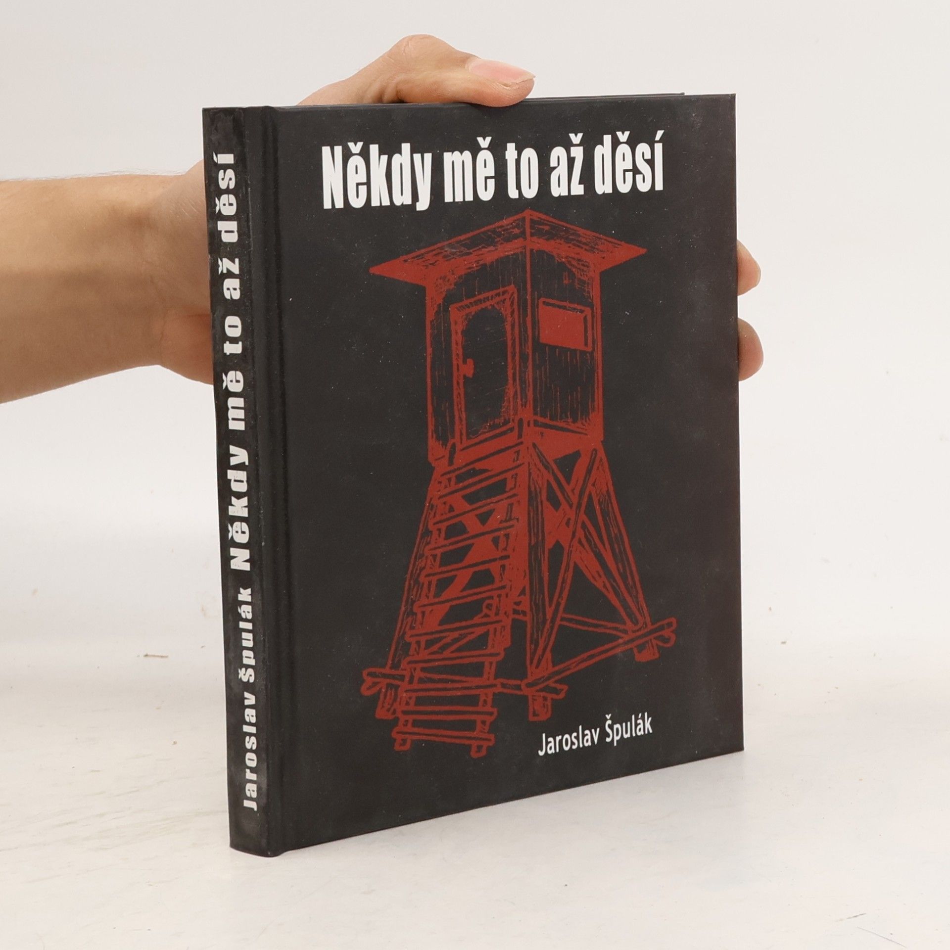 Někdy mě to až děsí