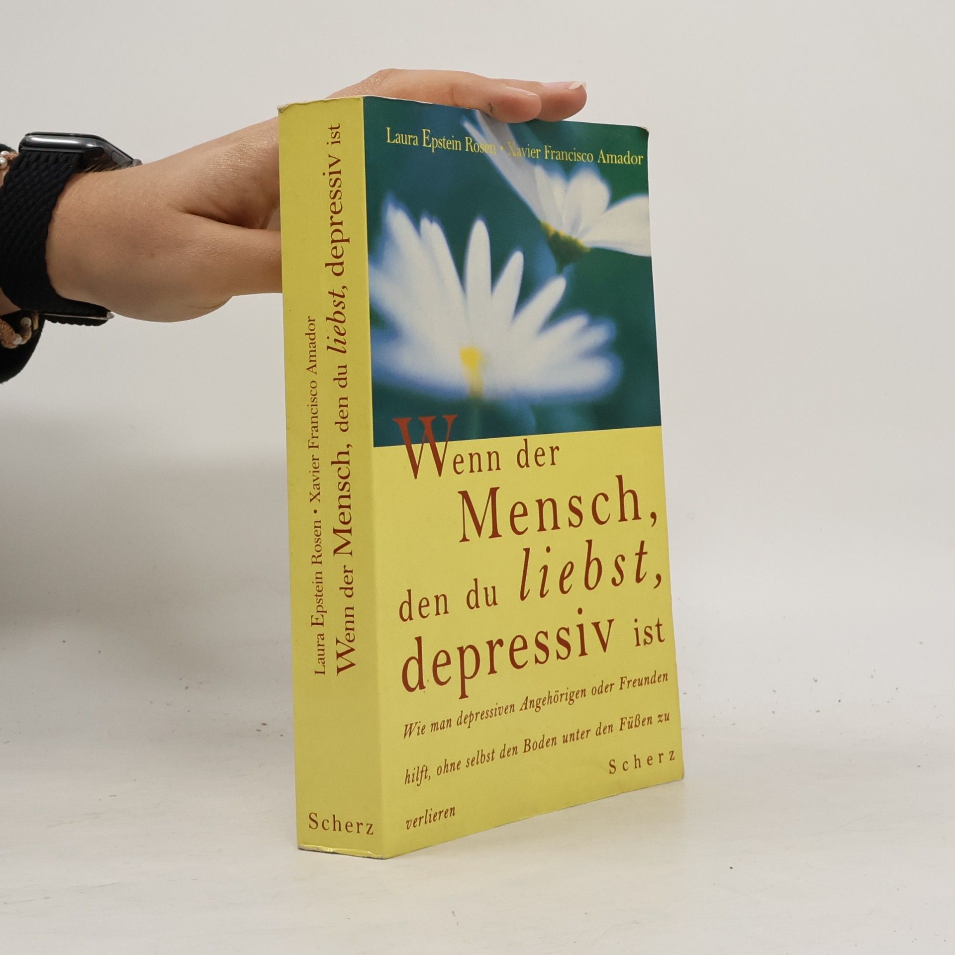 Laura Epstein Rosen Wenn der Mensch, den du liebst, depressiv ist