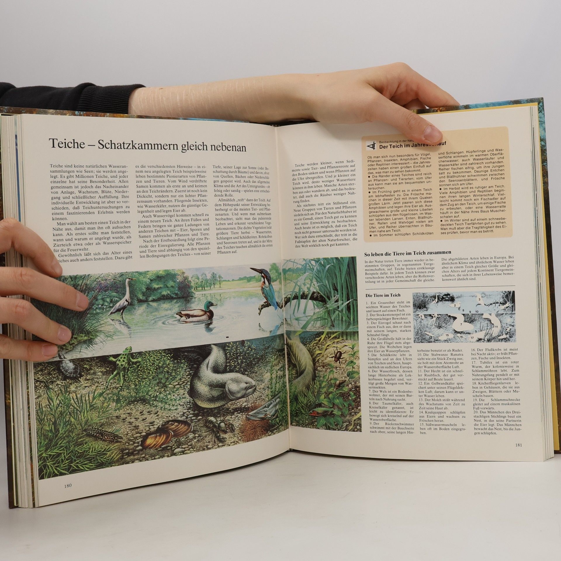 Durward L. Allen Natur erleben, Natur verstehen