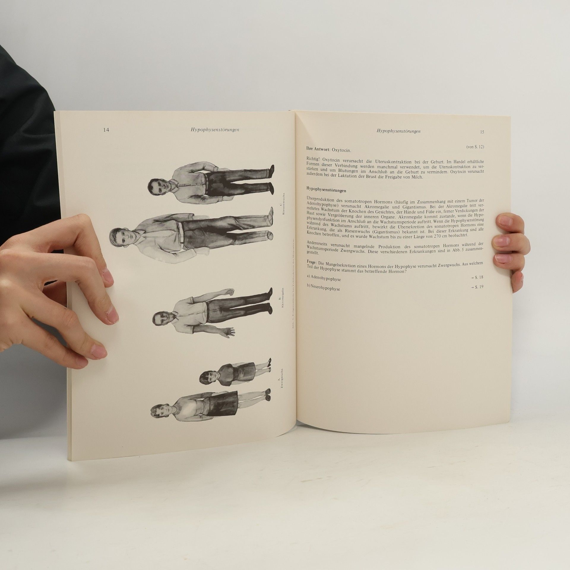 David F. Culclasure Anatomie und Physiologie des Menschen, Band 11