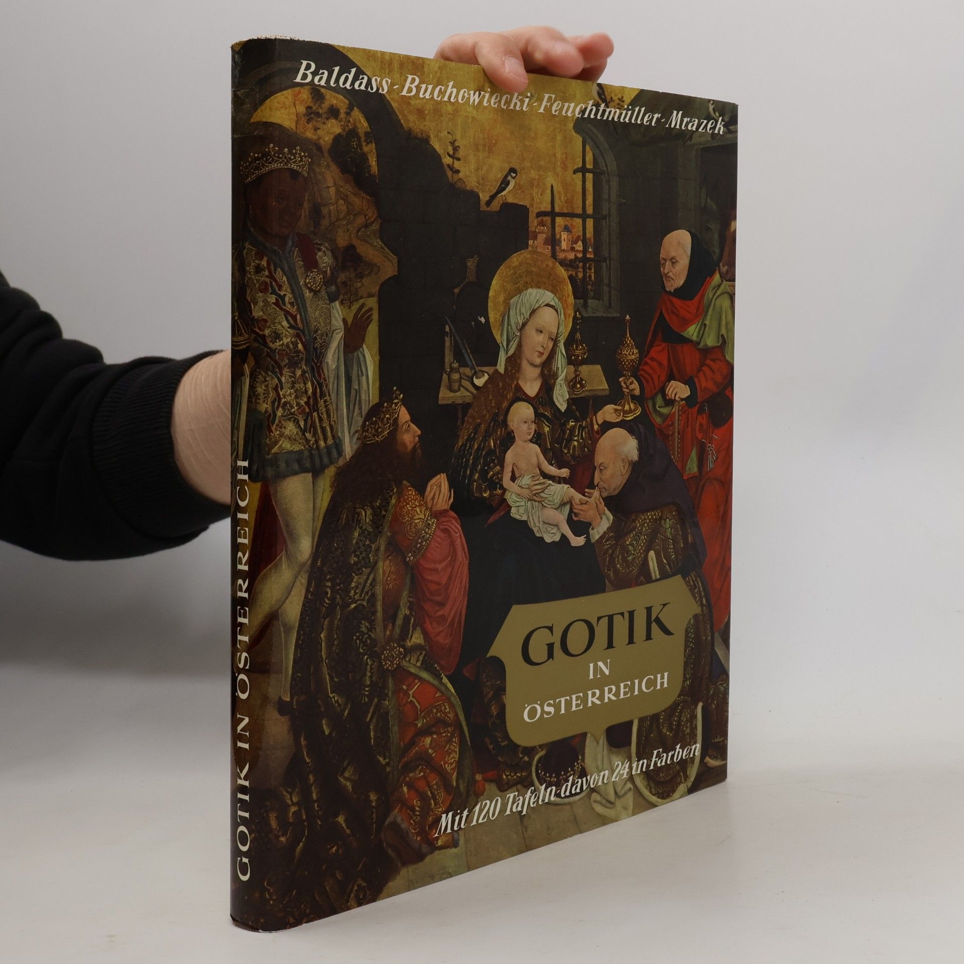 Autorenkollektiv Gotik in Österreich
