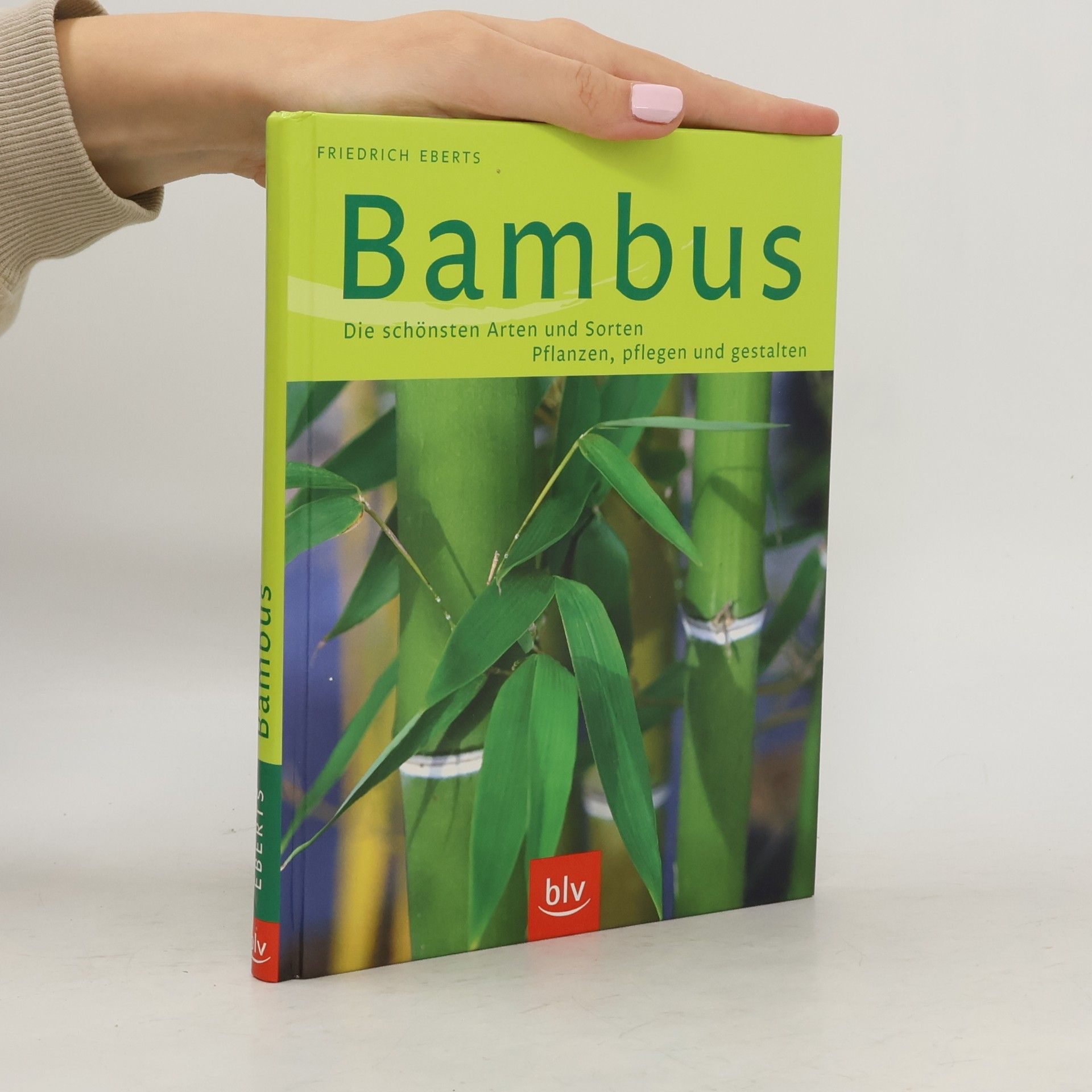 Bambus