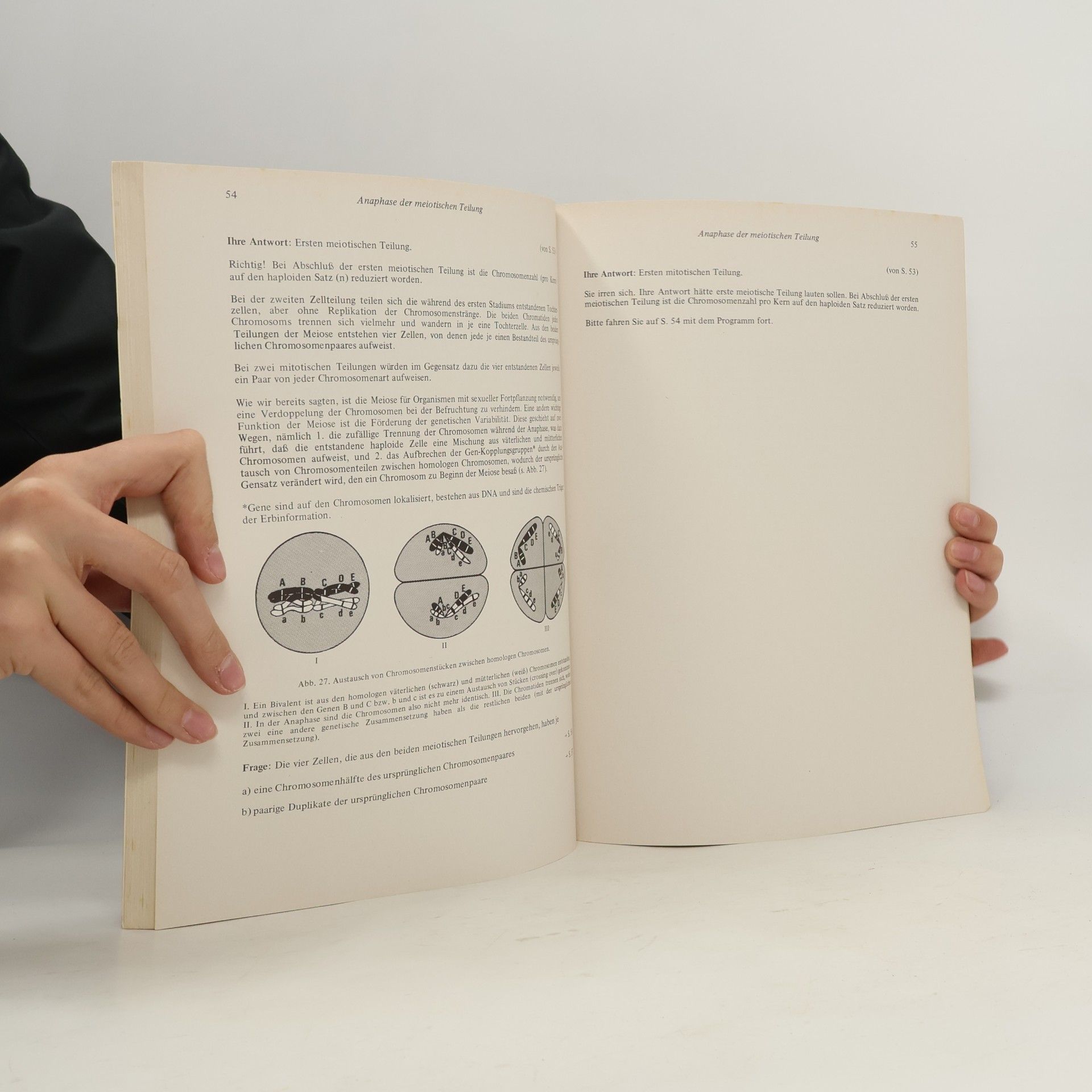 David F. Culclasure Anatomie und Physiologie des Menschen. Band 1