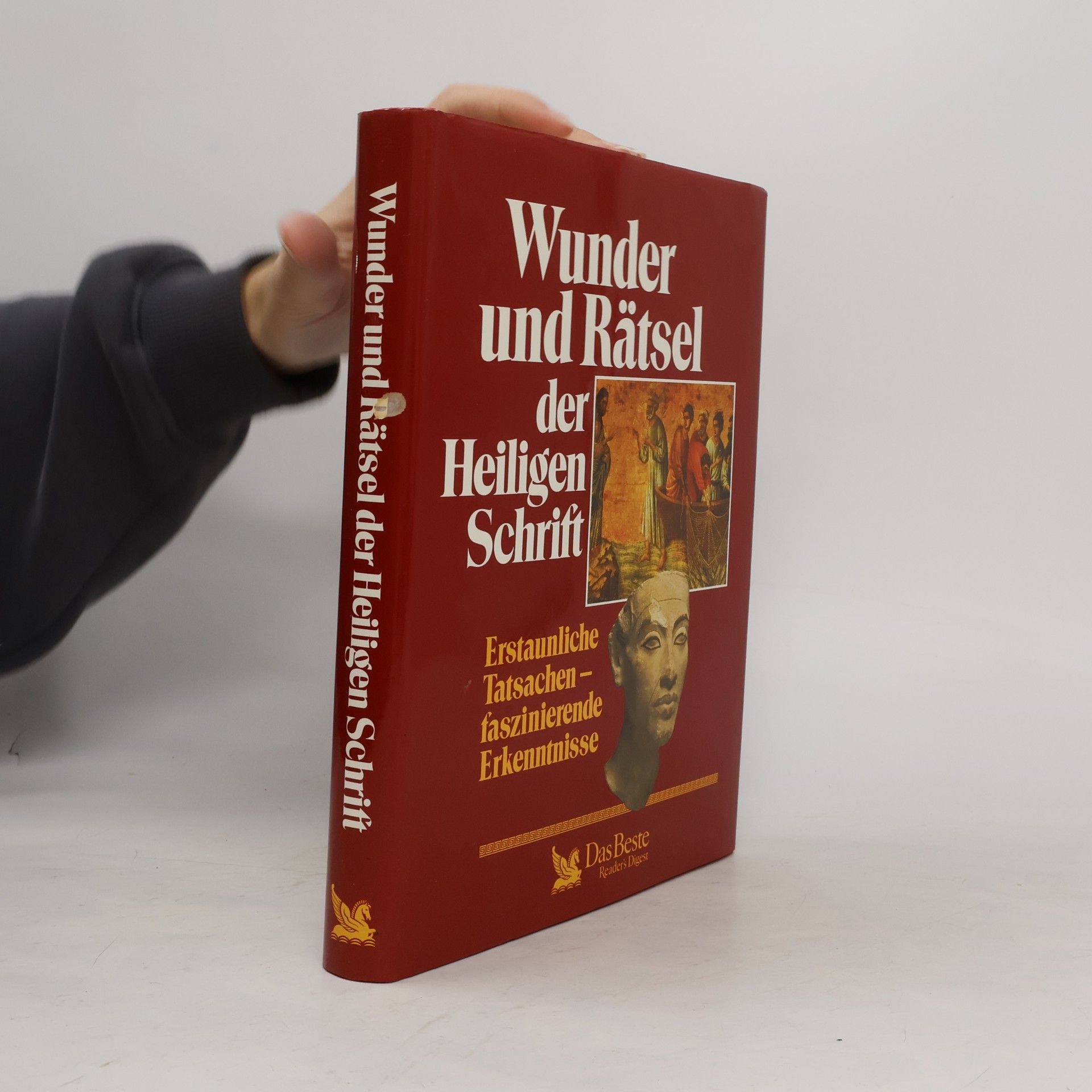 Kolektiv autorů Wunder und Rätsel der Heiligen Schrift