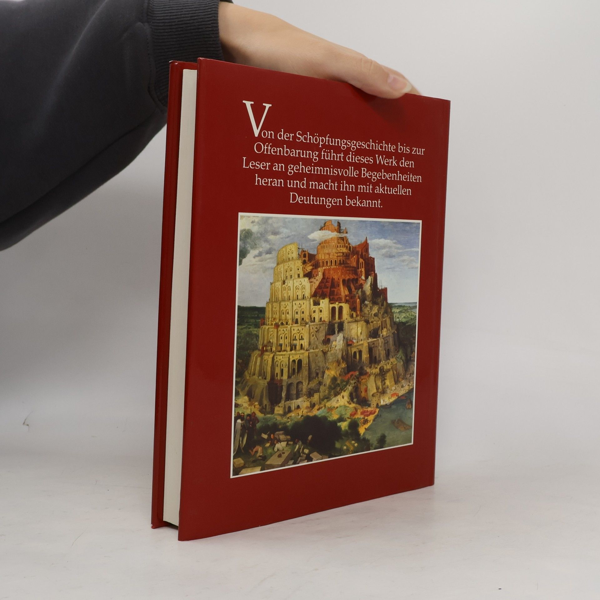 Kolektiv autorů Wunder und Rätsel der Heiligen Schrift