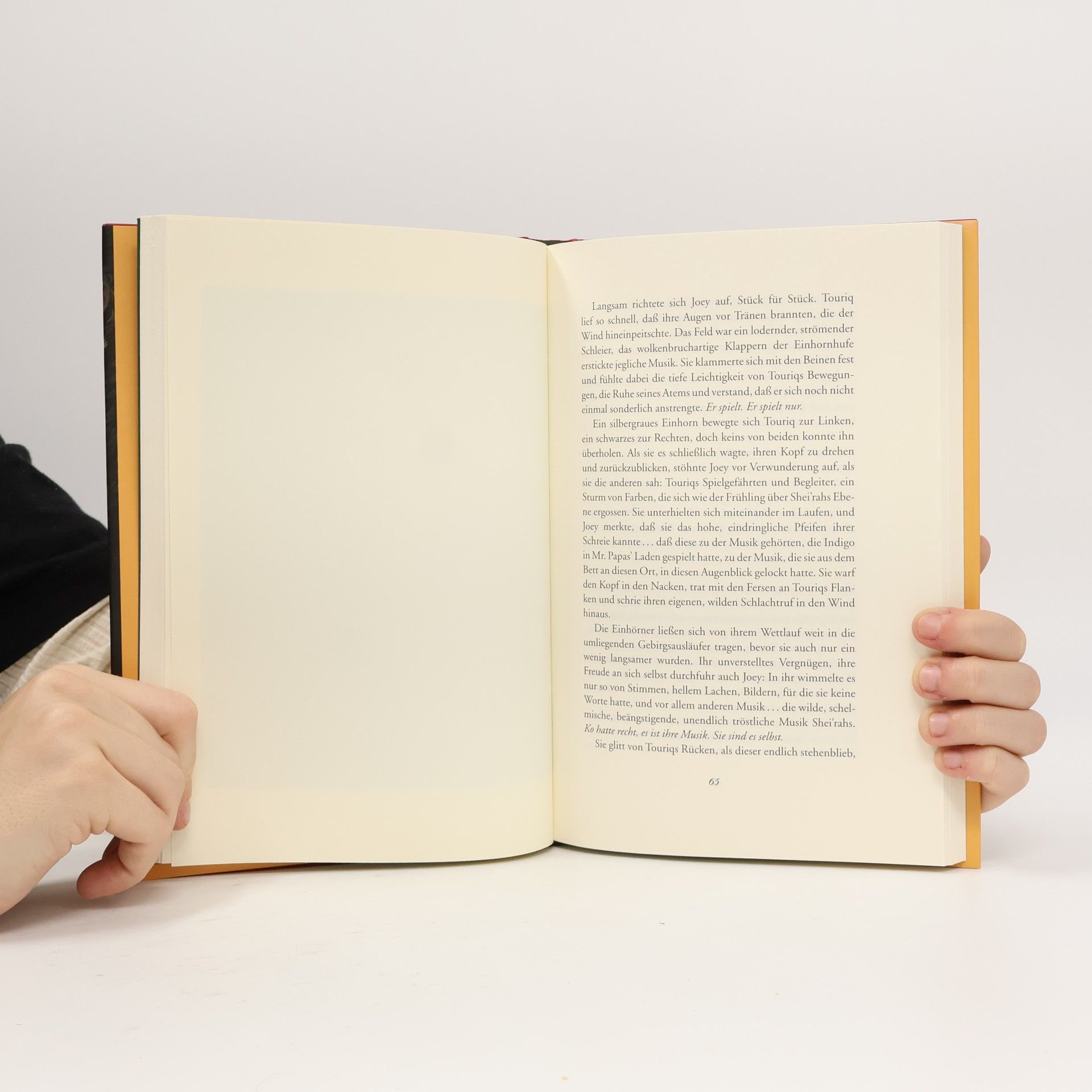 Peter S. Beagle Die Sonate des Einhorns