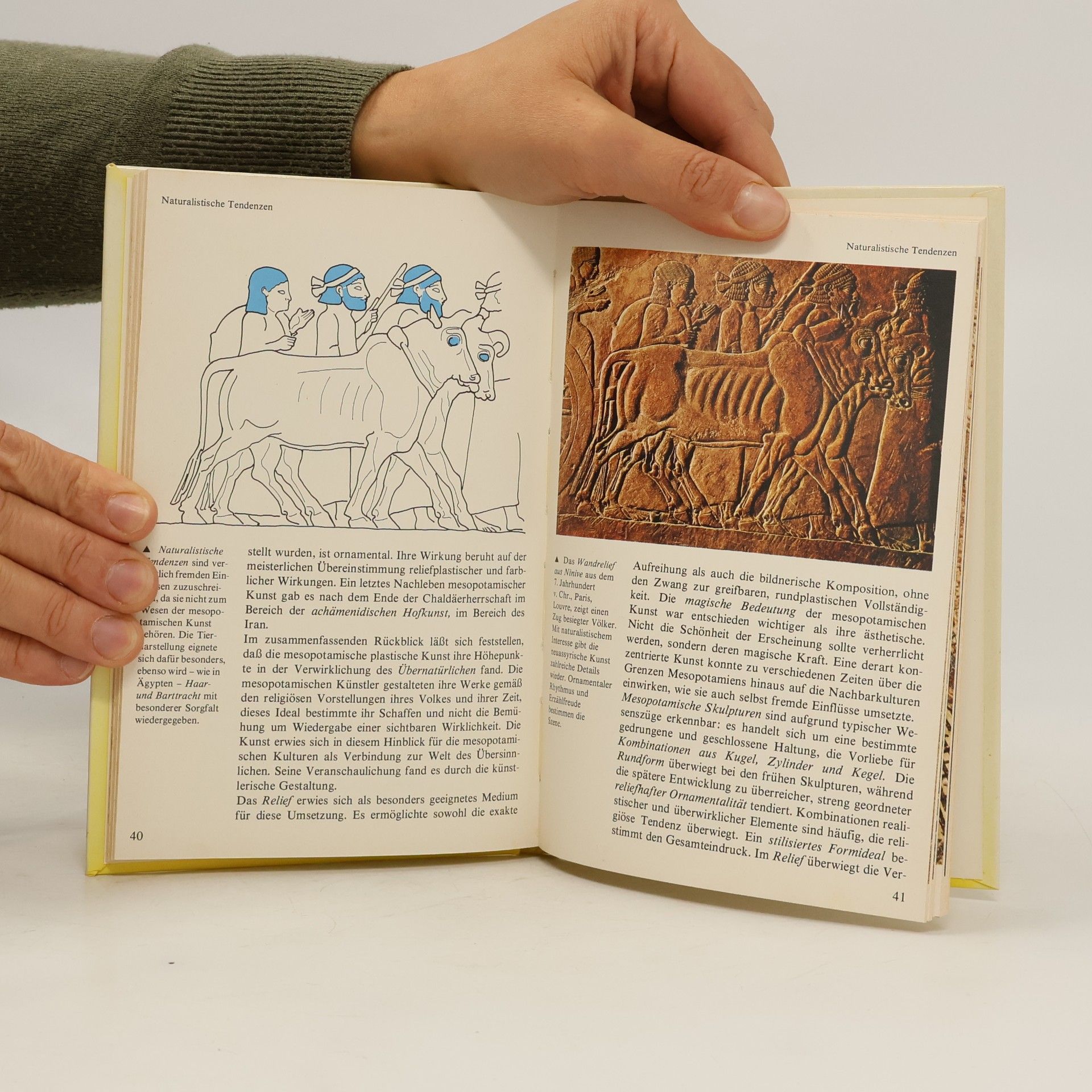 Sabatino Moscati Wie erkenne ich mesopotamische Kunst?