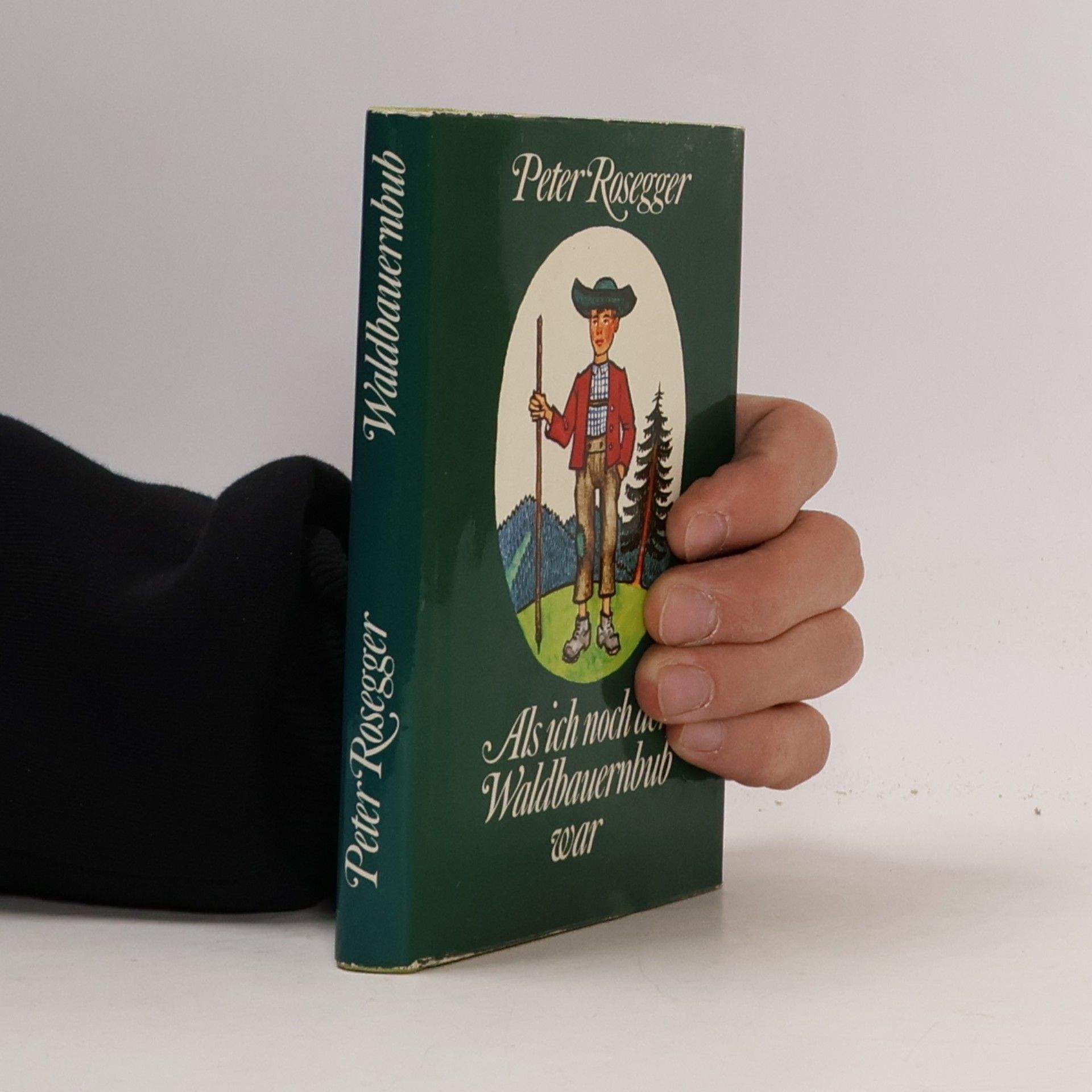 Peter Rosegger Als ich noch der Waldbauernbub war
