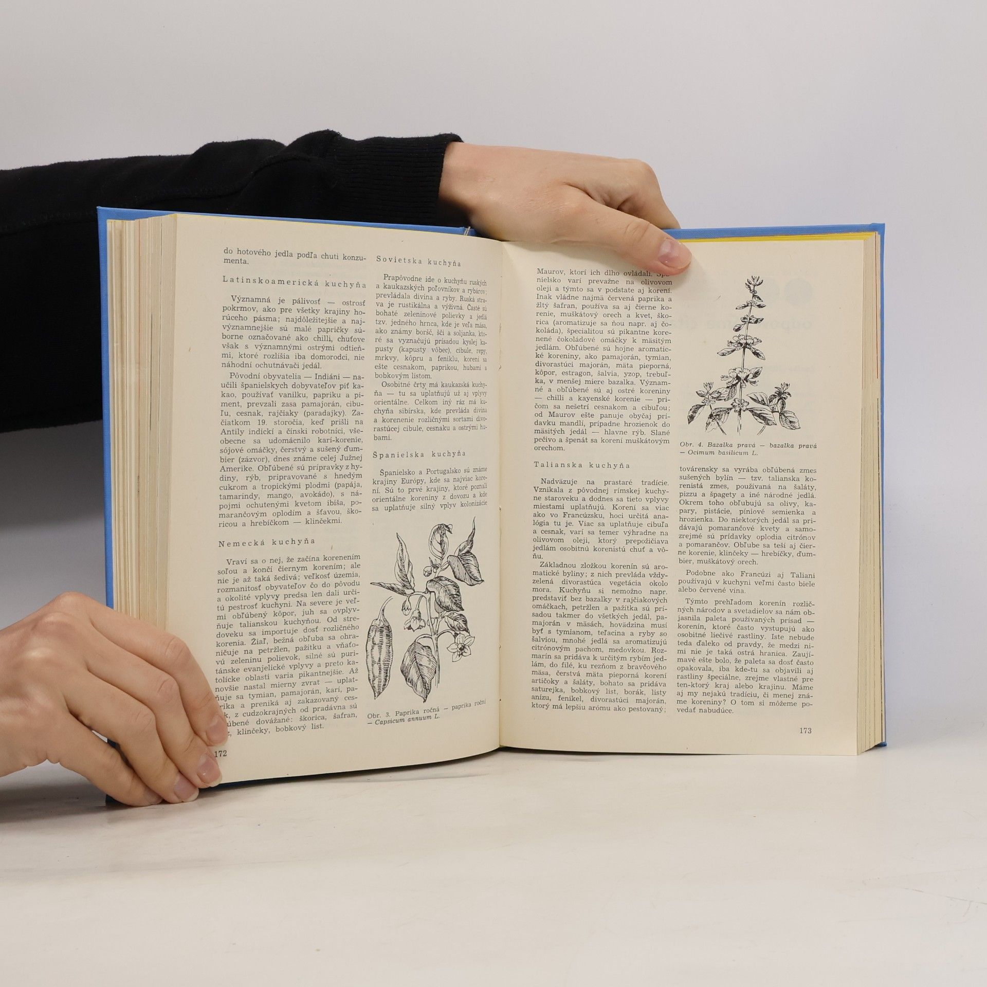 Various authors Naše liečivé rastliny