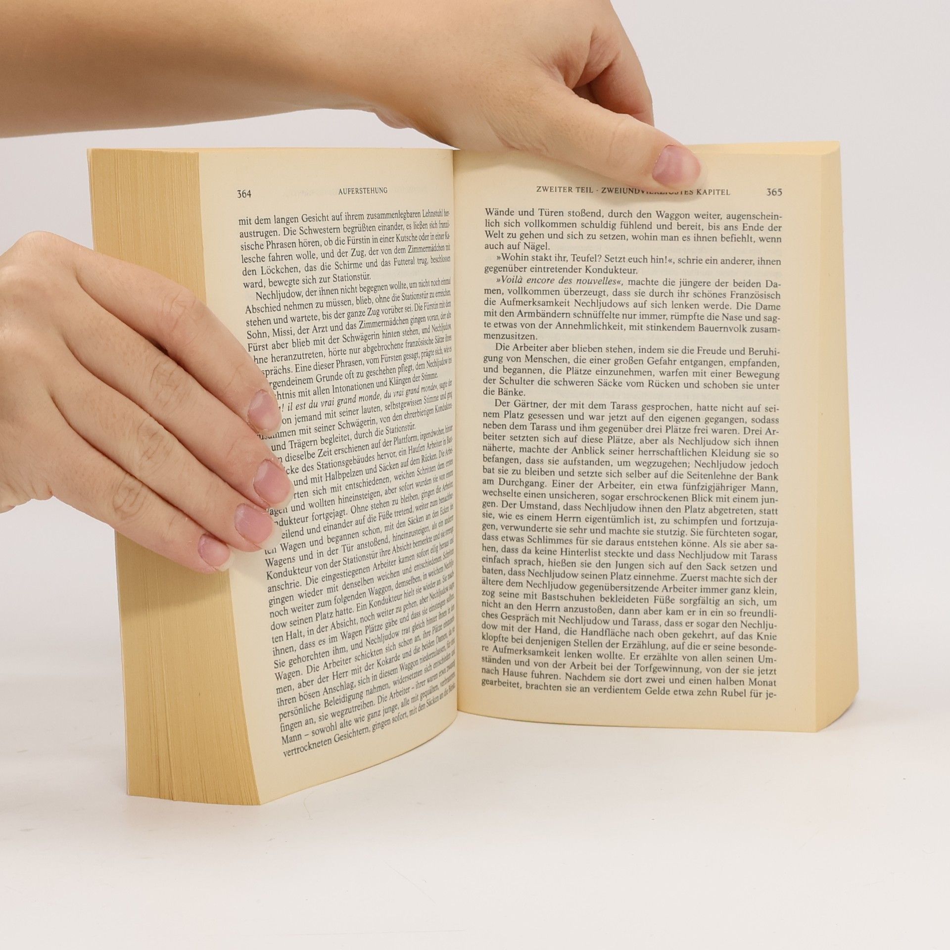 Lew Nikolajewitsch Tolstoi Meisterwerke 6