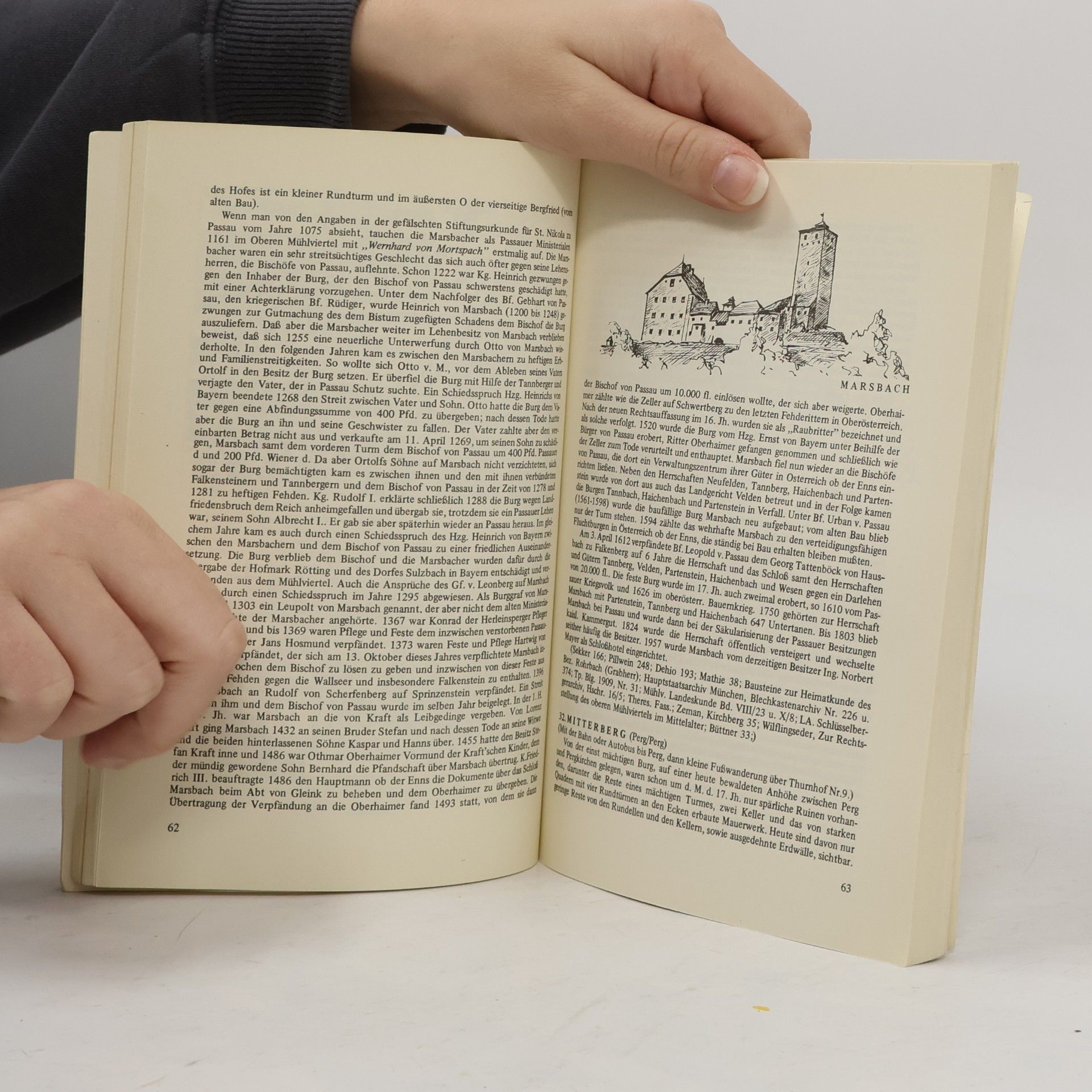 Georg Grüll Burgen und Schlösser im Mühlviertel