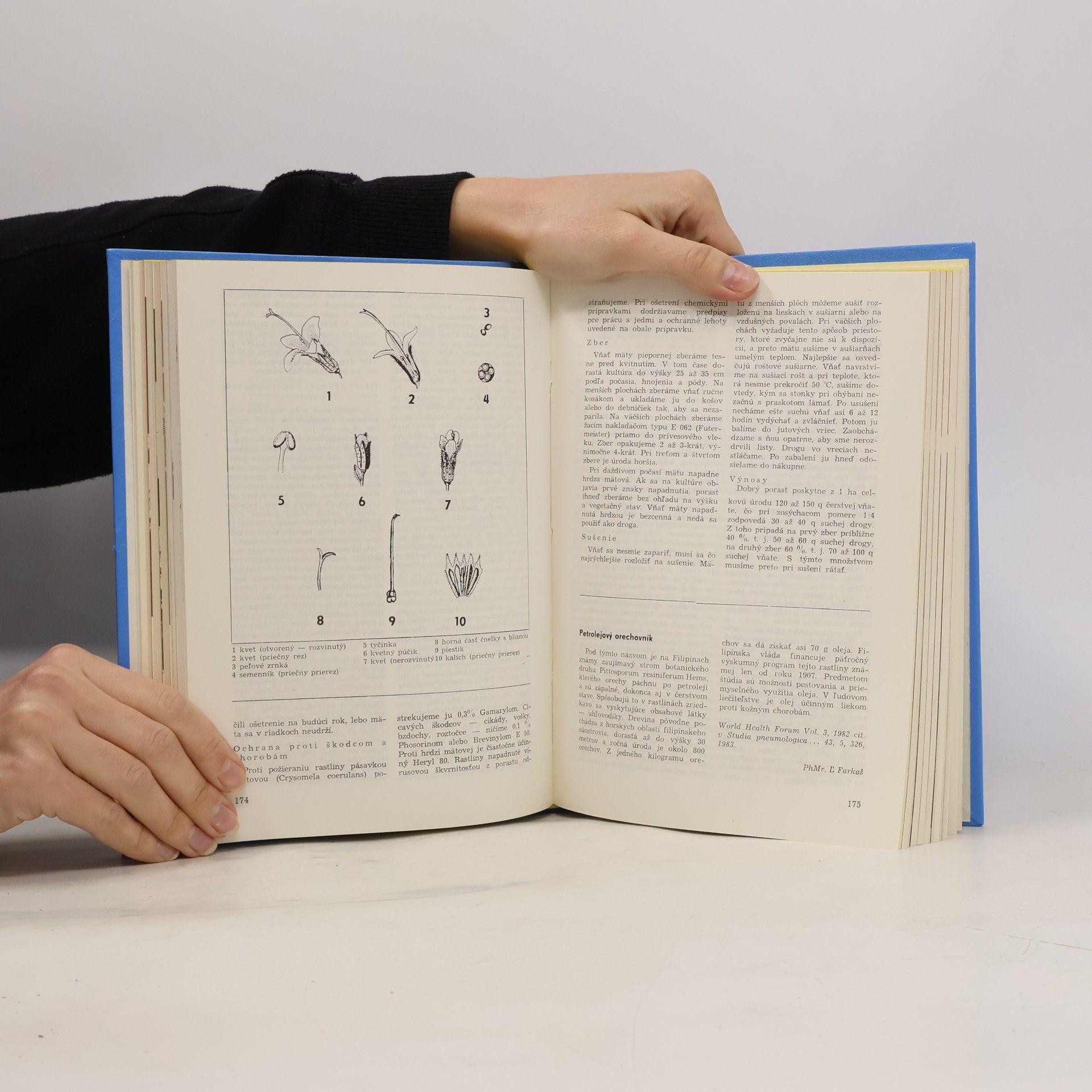 Kolektiv autorů Naše léčivé rostliny 1984 - 85