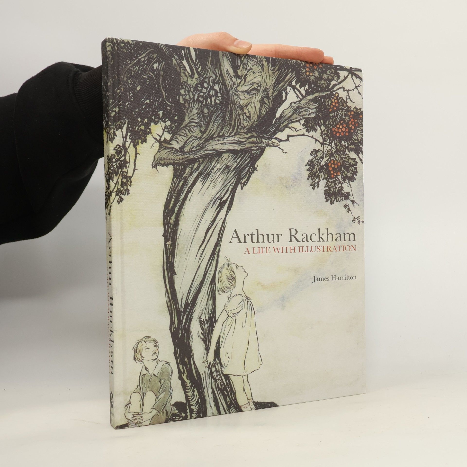 James Hamilton Arthur Rackham: A Life with Illustration