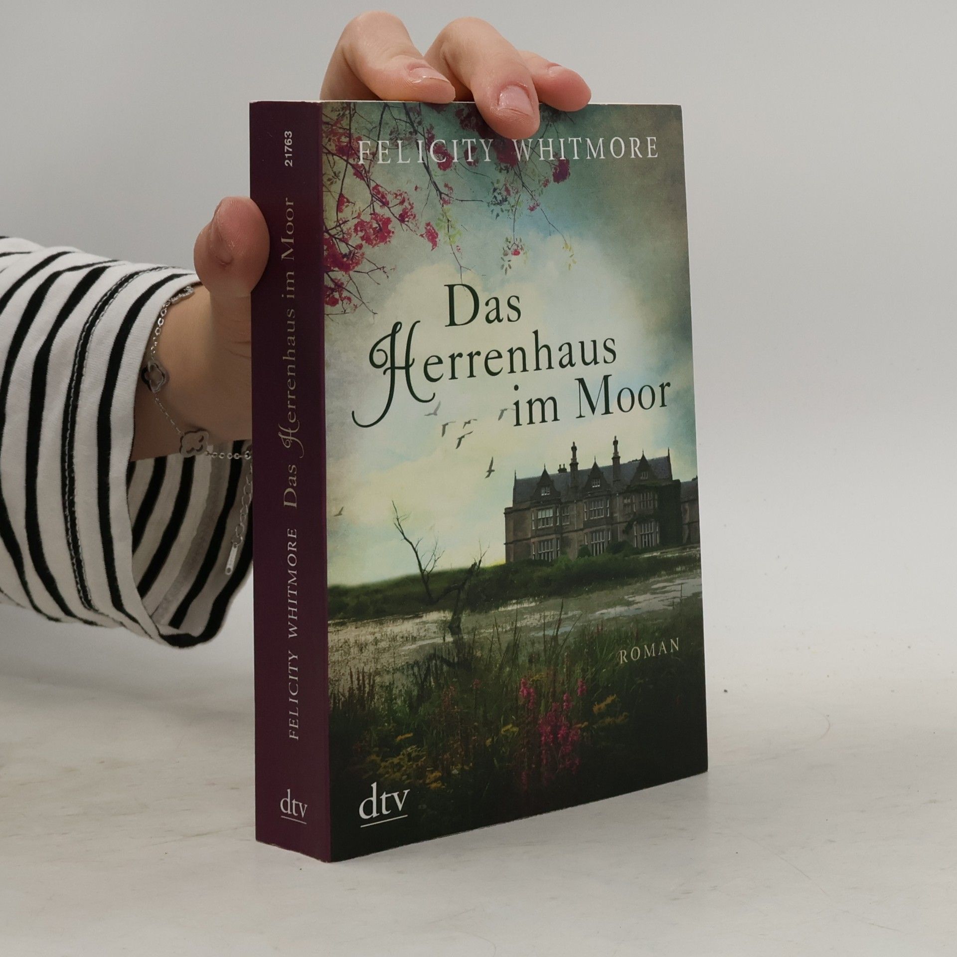 Das Herrenhaus im Moor