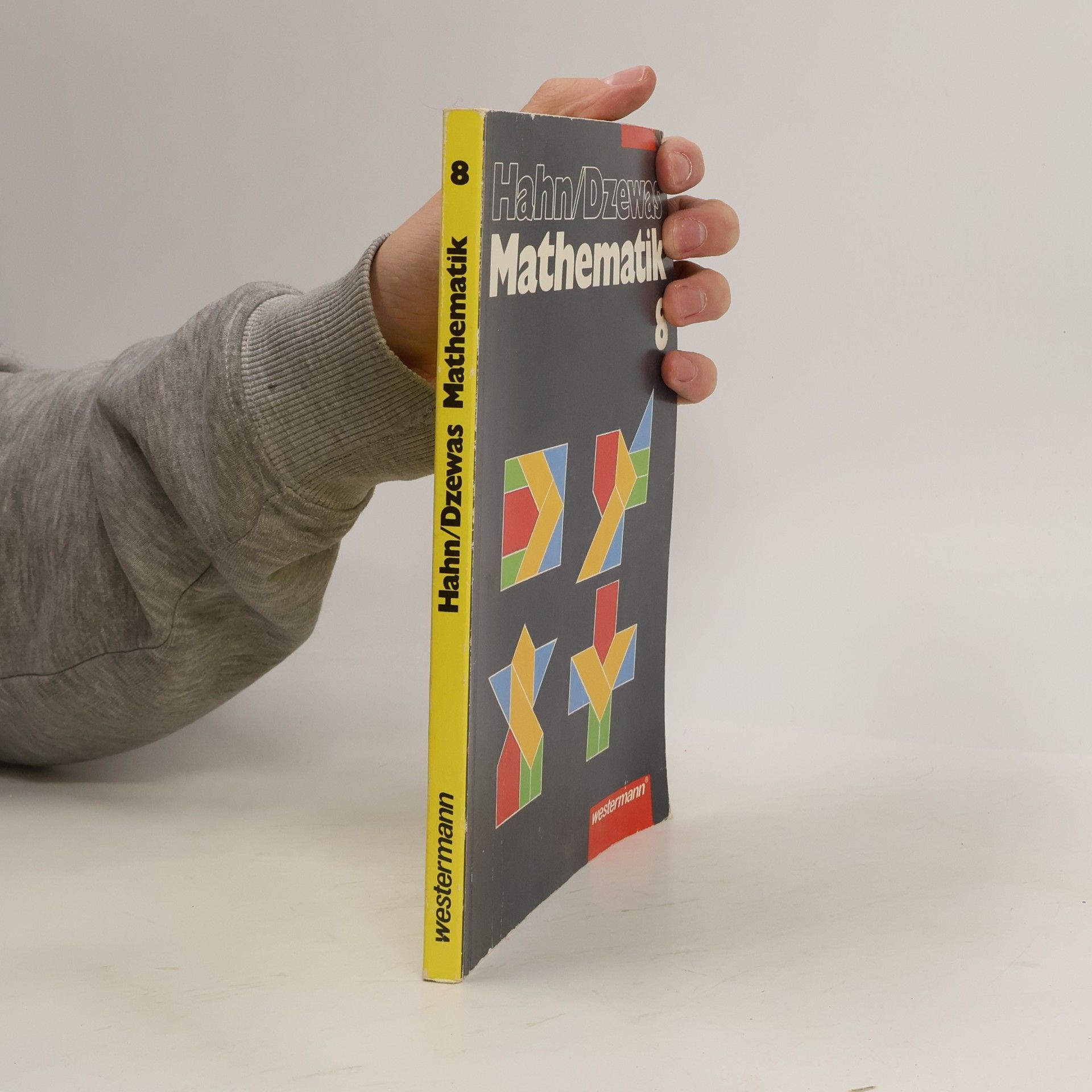 Hahn Mathematik 8