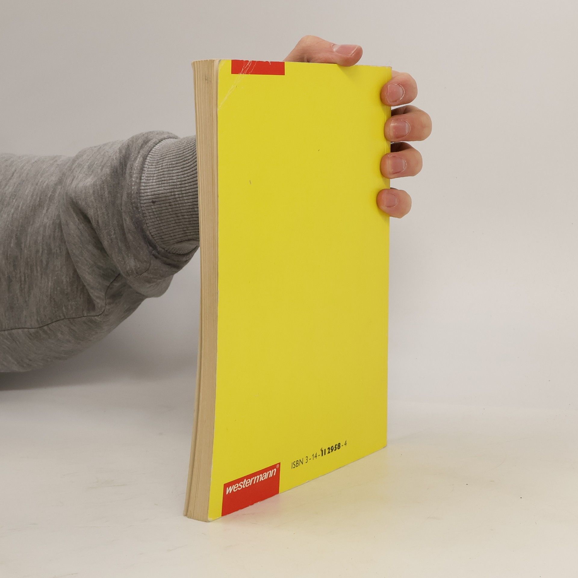 Hahn Mathematik 8