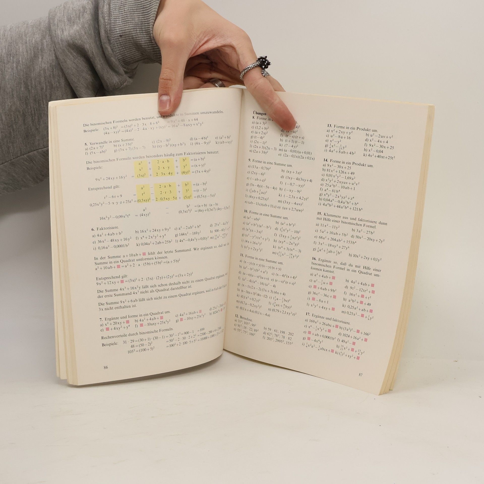 Hahn Mathematik 8