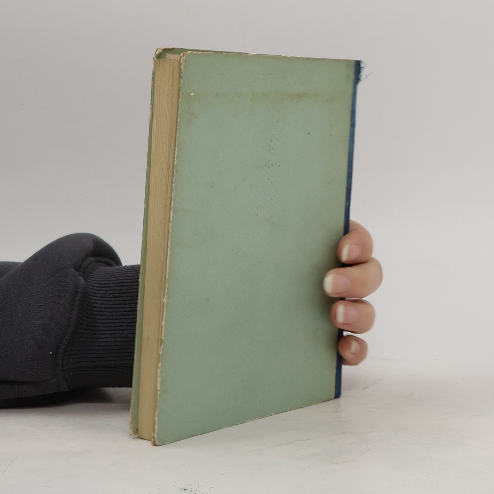 Autorenkollektiv Die vier Jahreszeiten