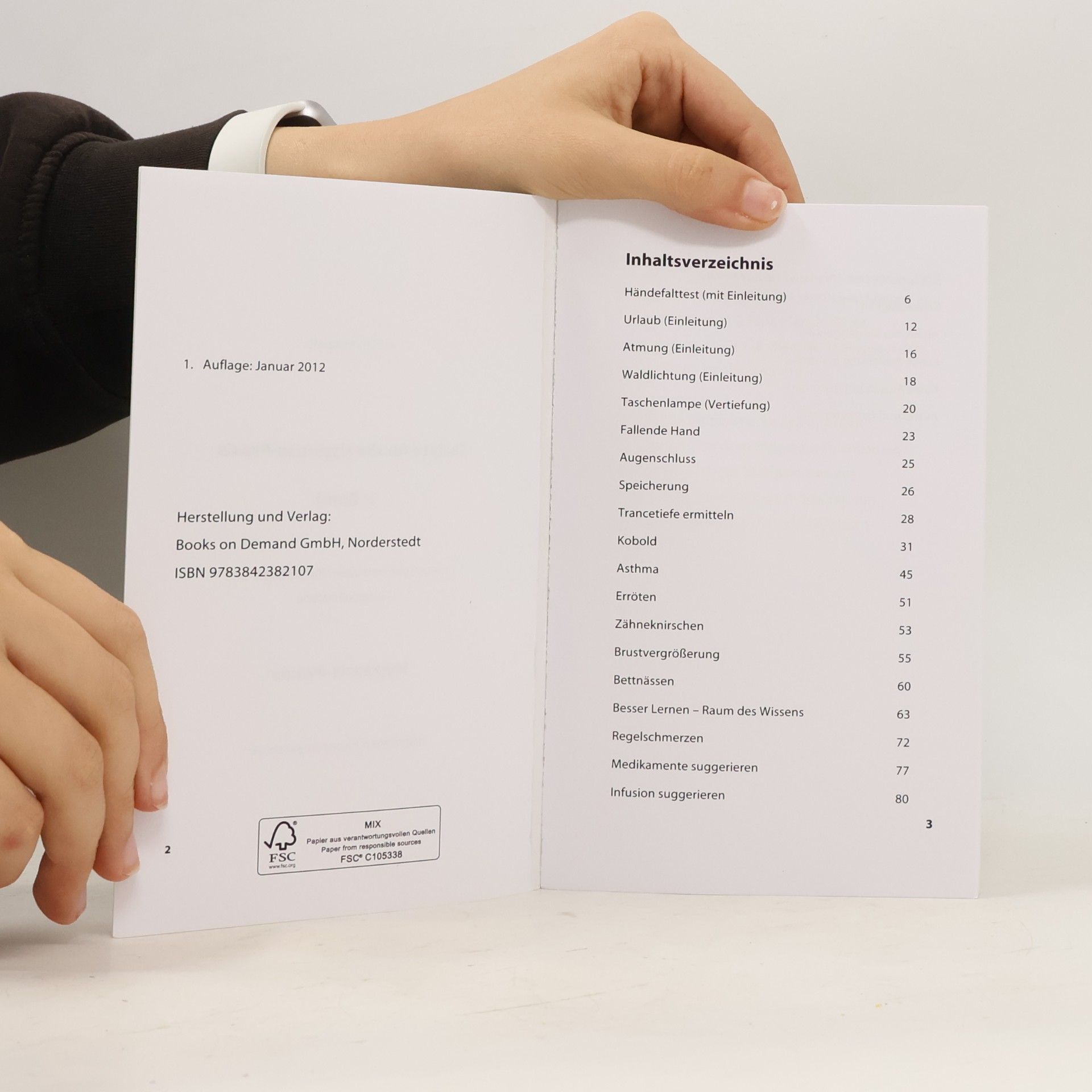 Ulrich Eckardt Skripte für die Hypnose-Praxis - 1. Auflage