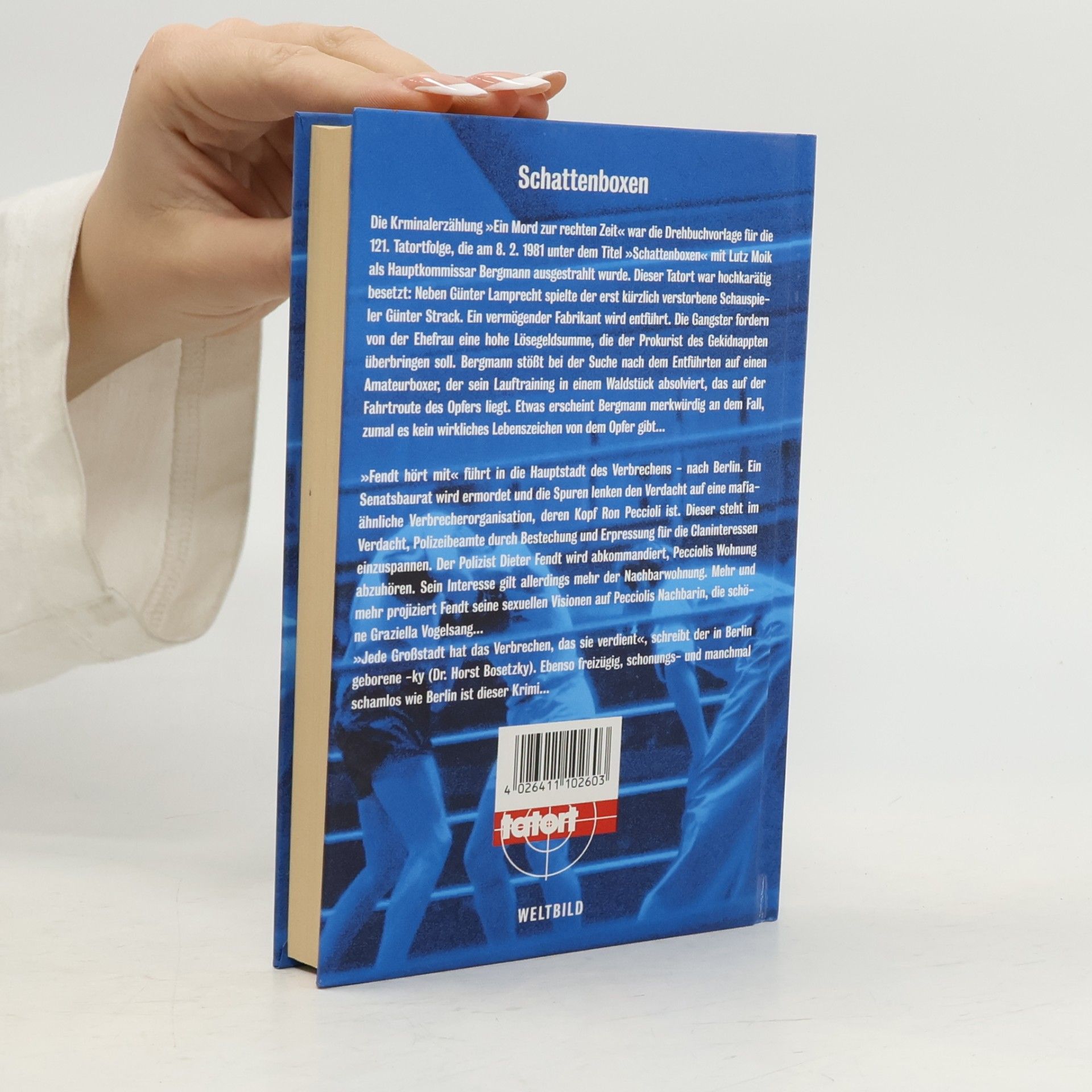 Collectif d'auteurs Schattenboxen