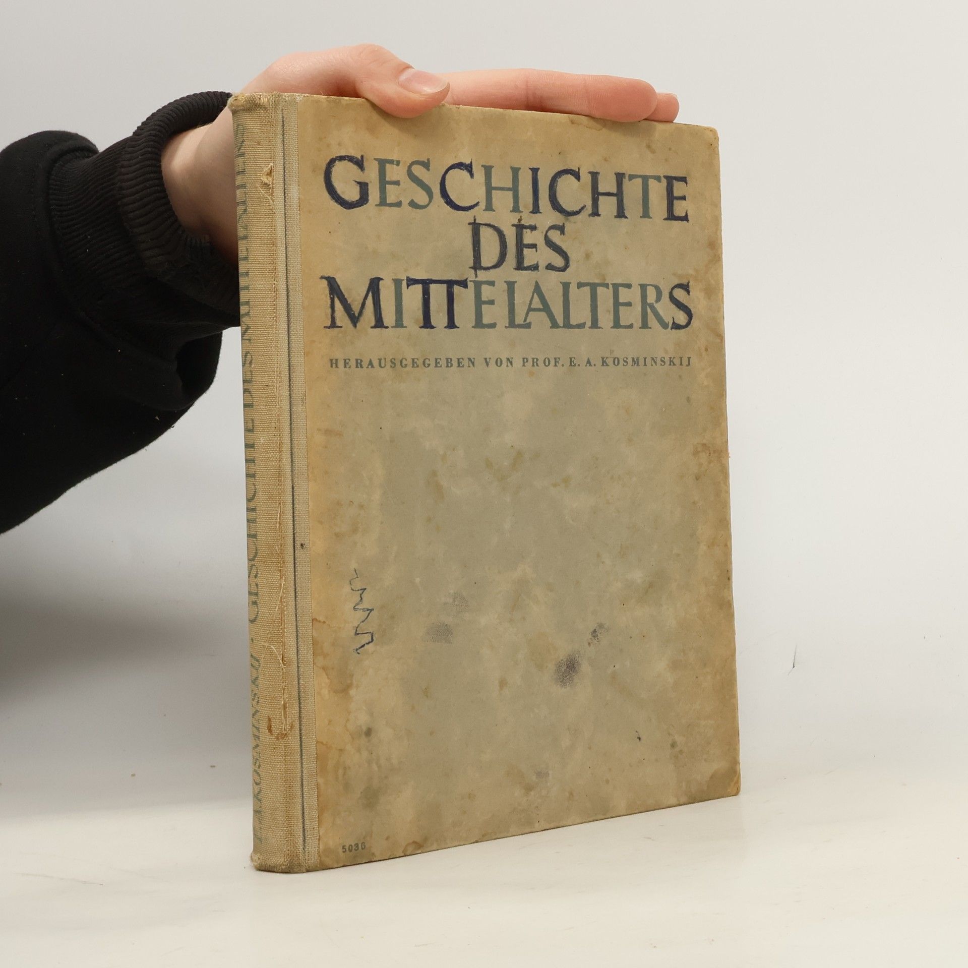 Geschichte des Mittelalters