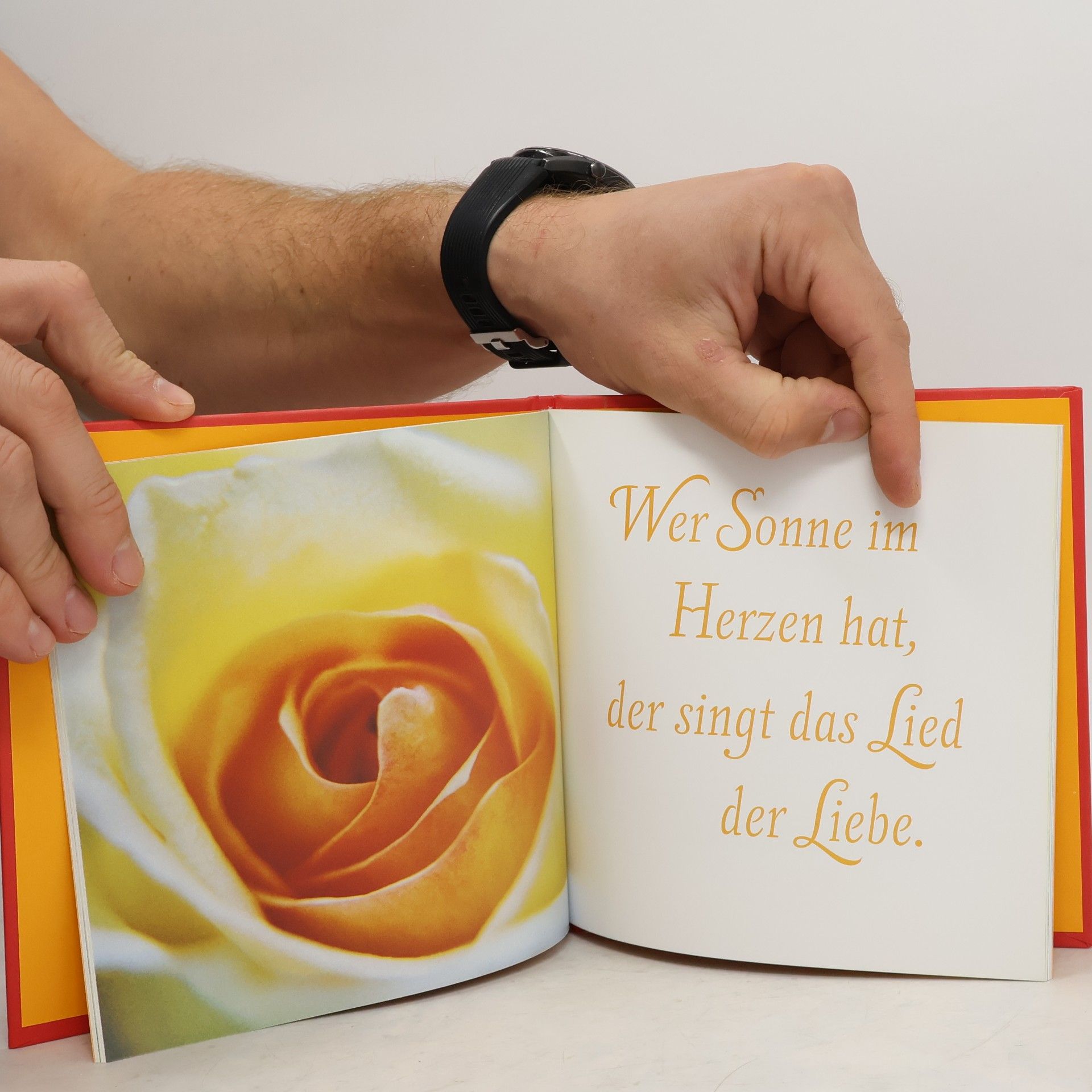 Gabi Pörner Lebe deine Liebe
