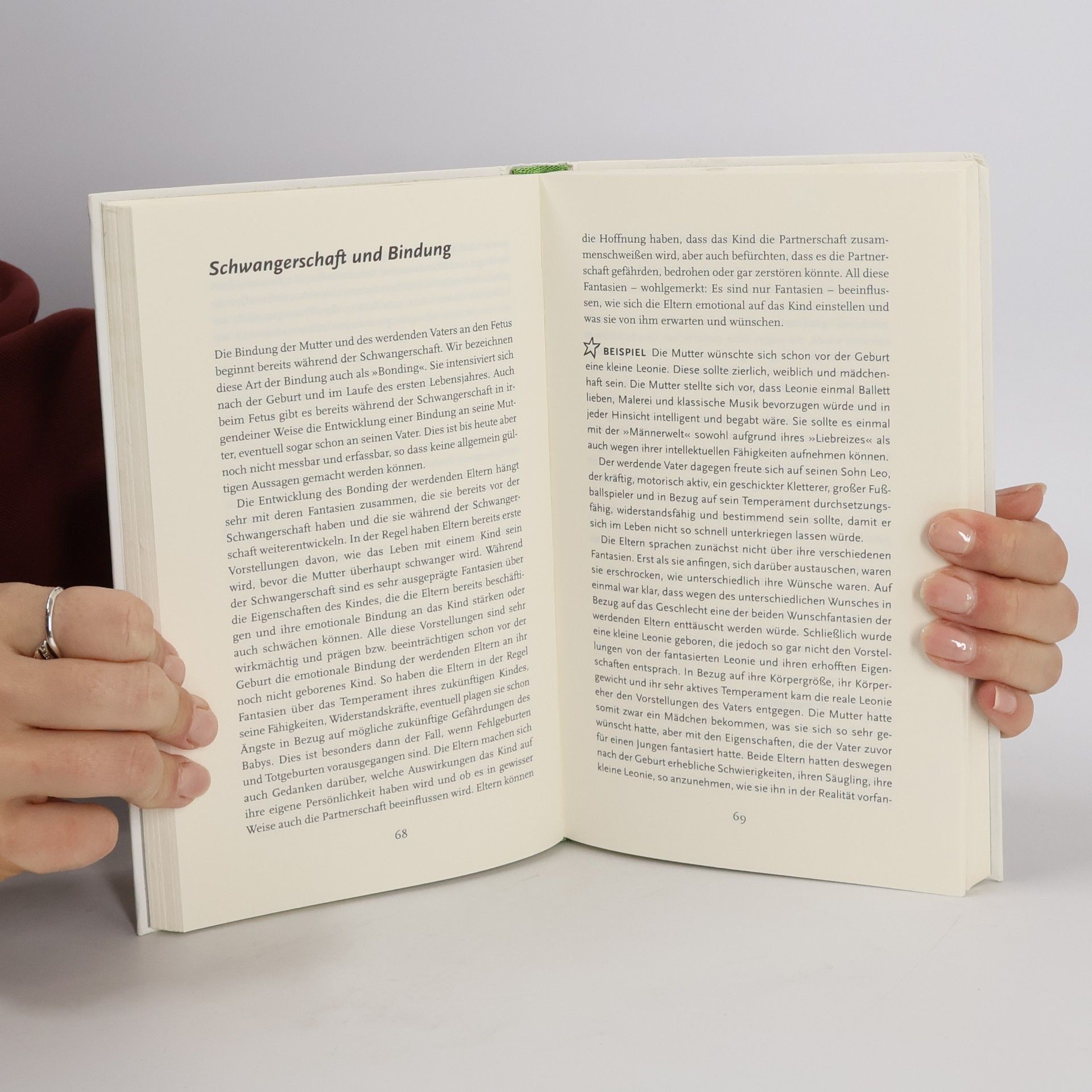 Karl Heinz Brisch Sichere Ausbildung für Eltern