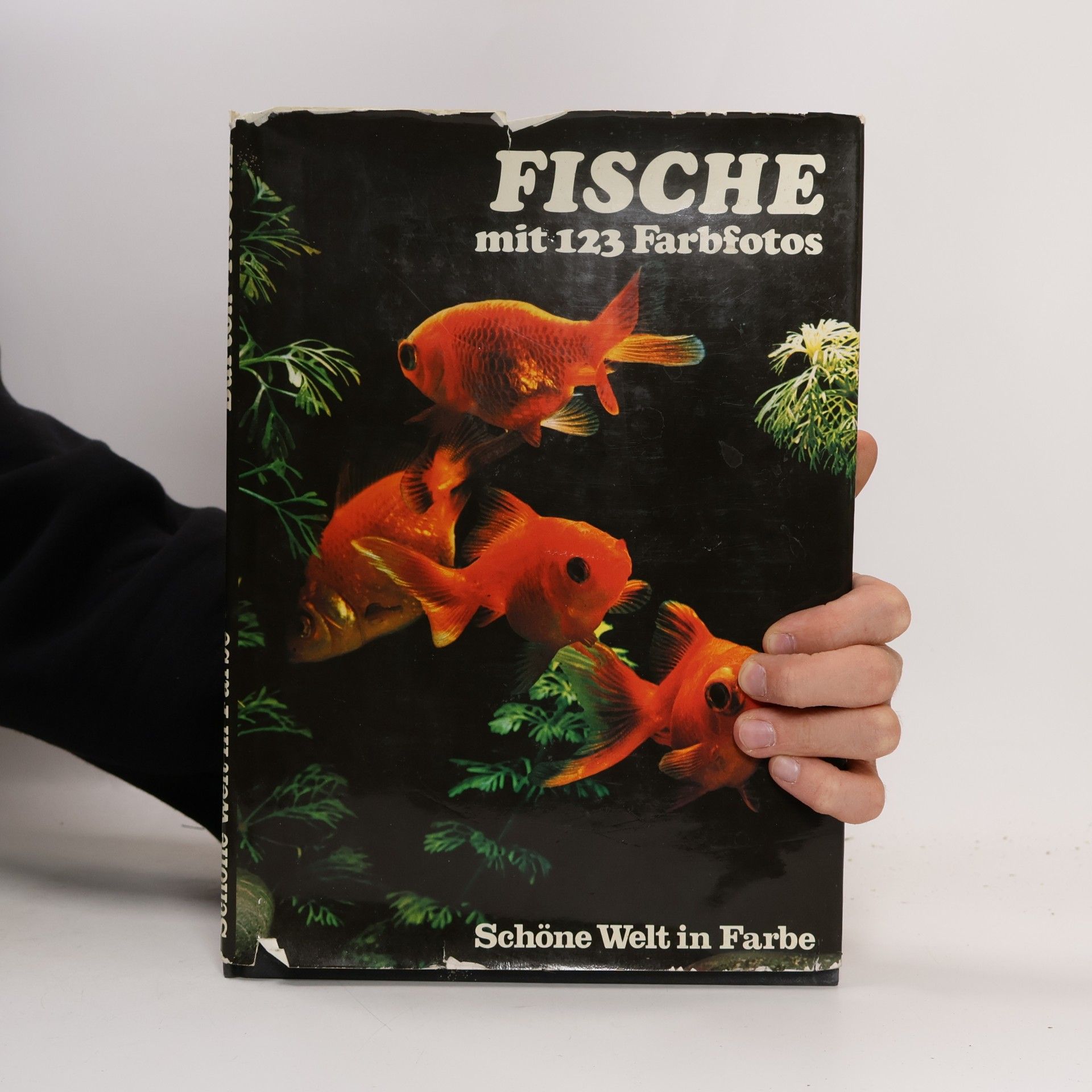 Jane Burton Schöne Welt in Farben. Fische