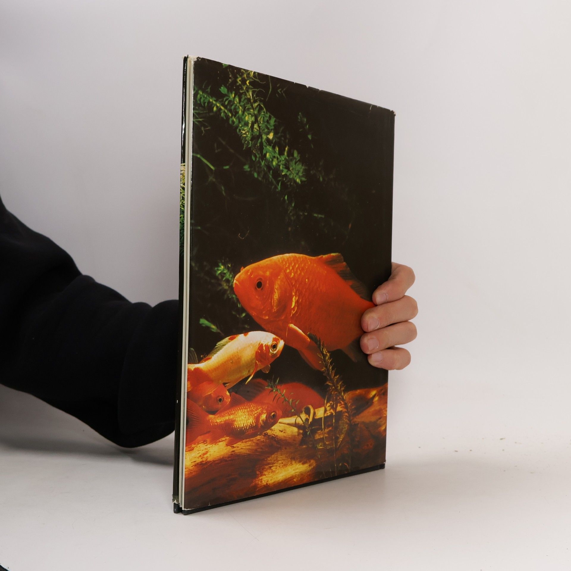 Jane Burton Schöne Welt in Farben. Fische