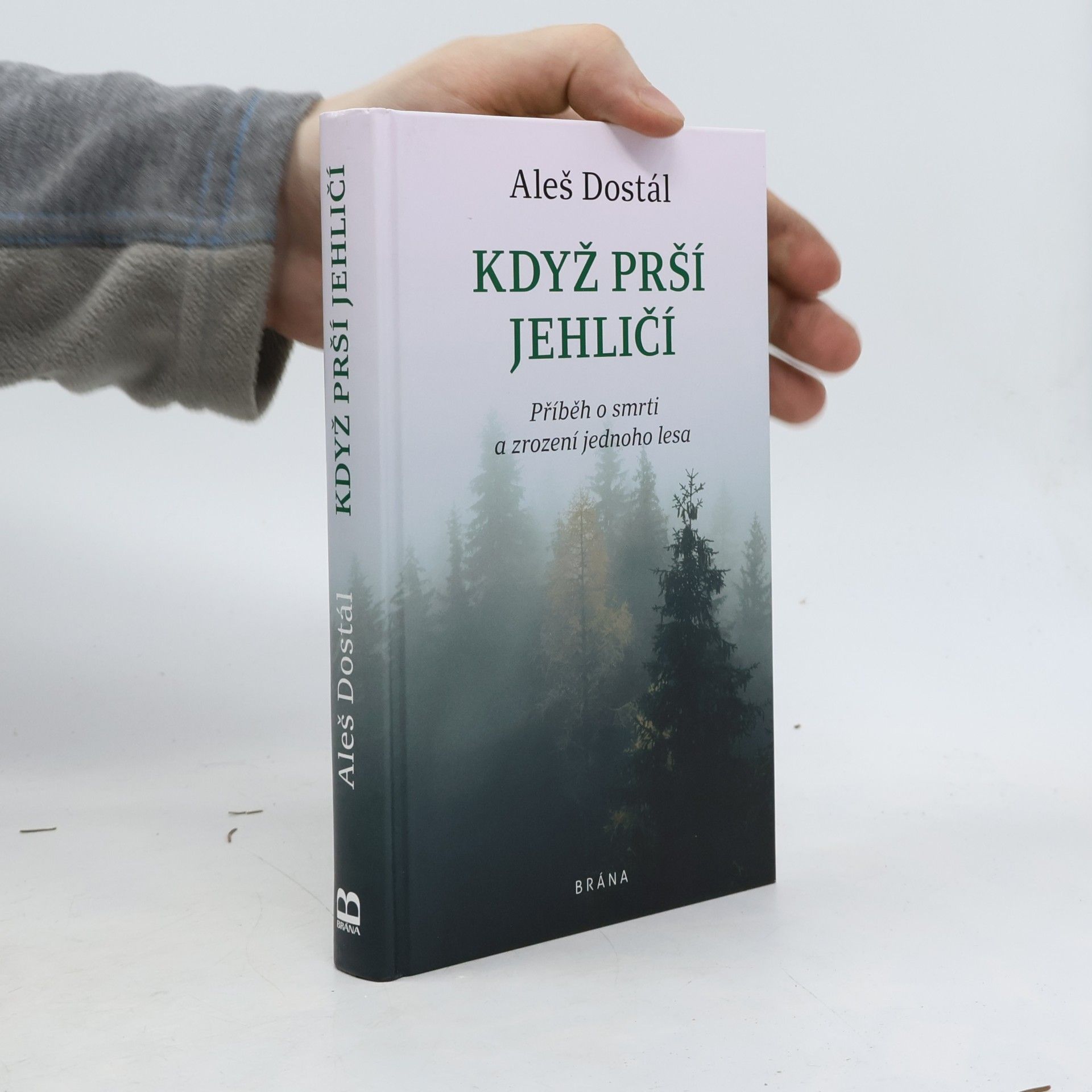 Aleš Dostál Když prší jehličí : příběh o smrti a zrození jednoho lesa