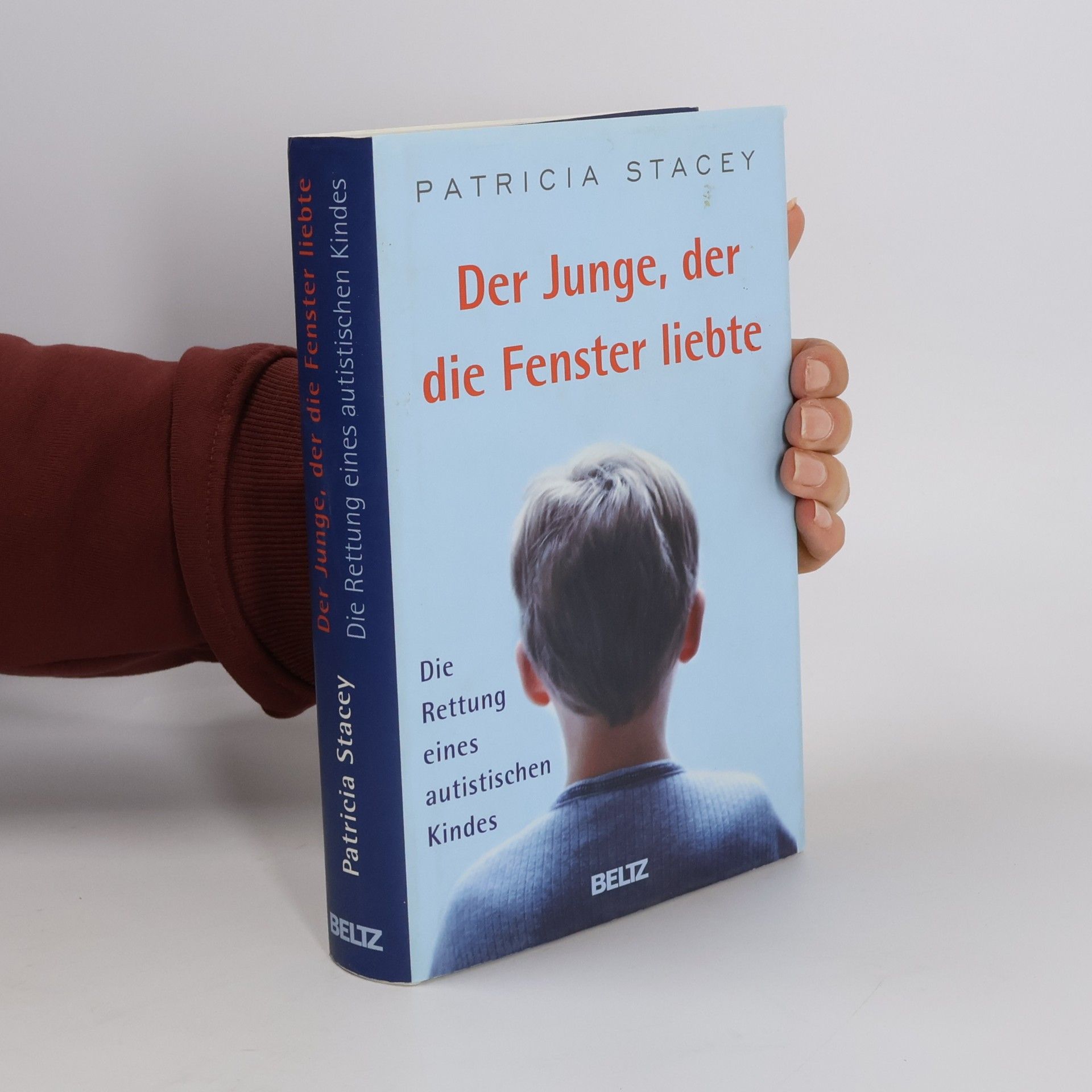 Patricia Stacey Der Junge, der die Fenster liebte