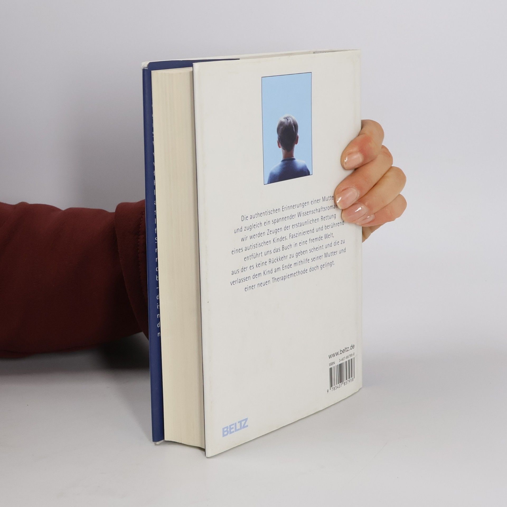 Patricia Stacey Der Junge, der die Fenster liebte